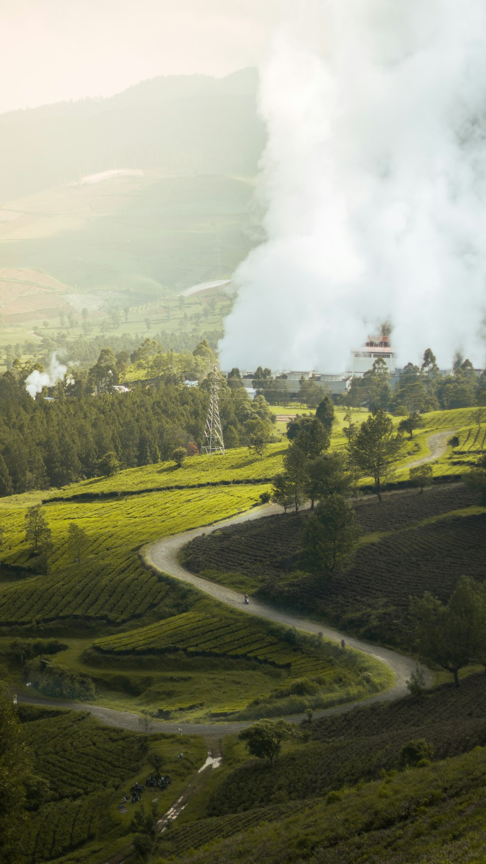 a road winding through a lush green countryside