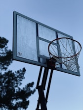 A basketball hoop with an elevated, transparent backboard is set against a clear sky. The structure appears sturdy, featuring a red rim and white net. Pine tree branches are visible in the background, creating a contrast with the simple blue sky.