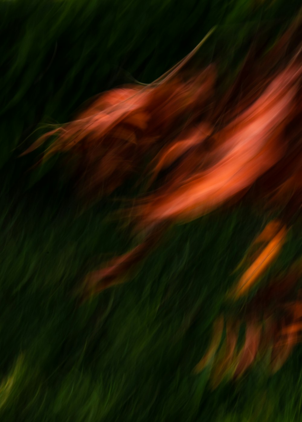 a blurry photo of grass and flowers