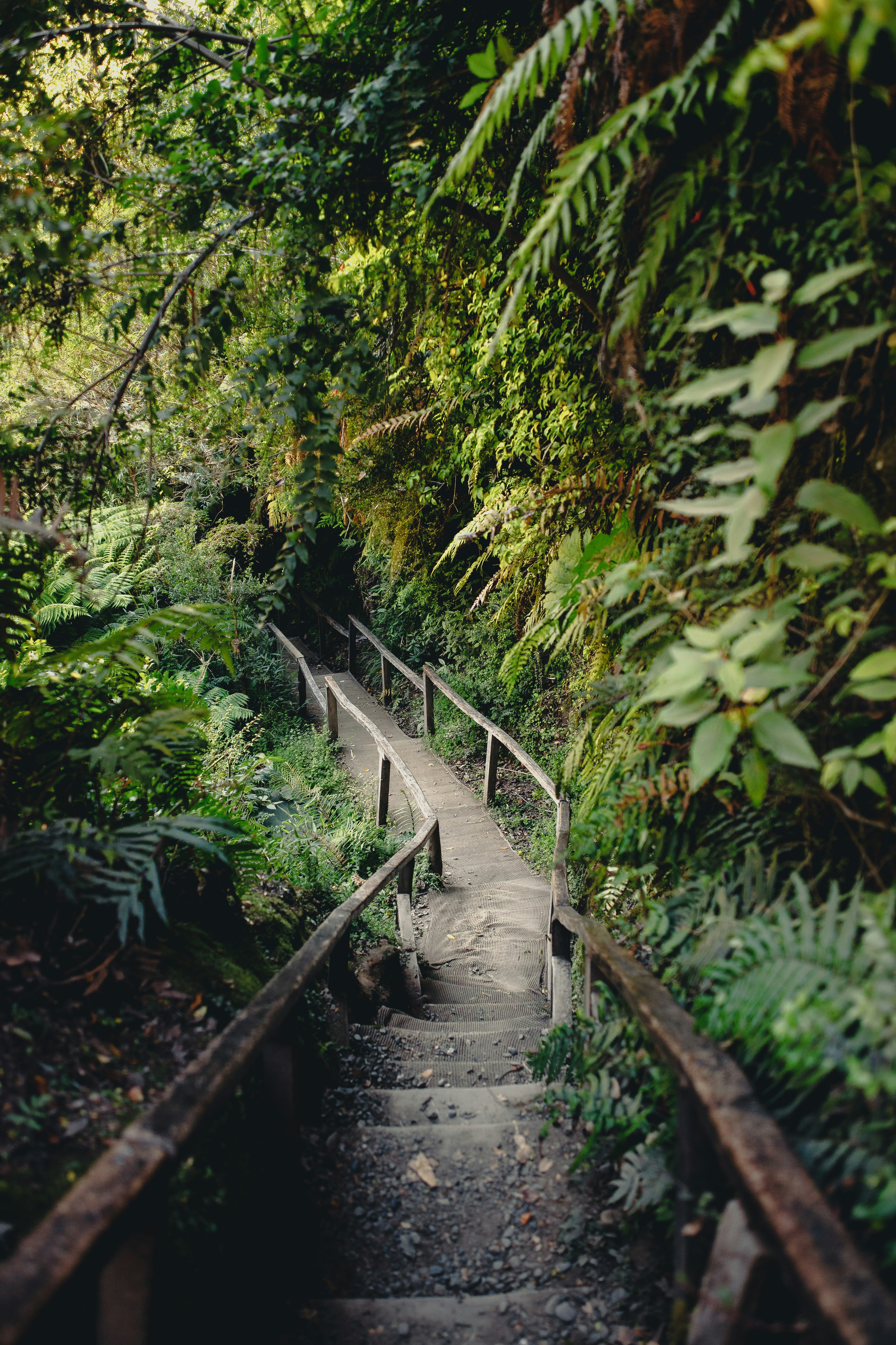 Photo by pablo_azurduy