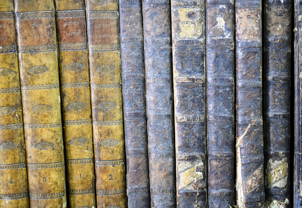 una fila di vecchi libri seduti uno accanto all'altro