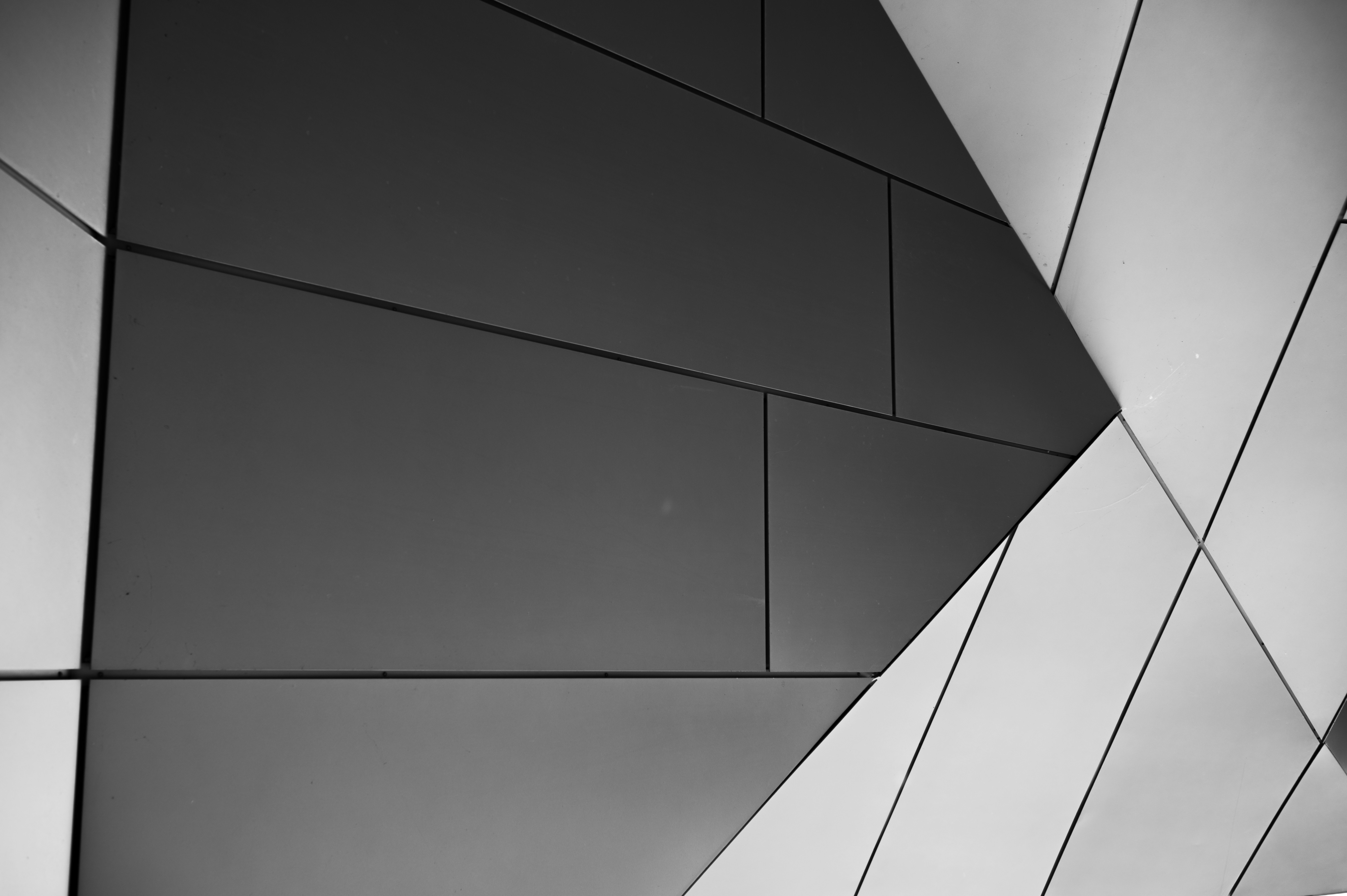 Photo by ryunosuke_kikuno