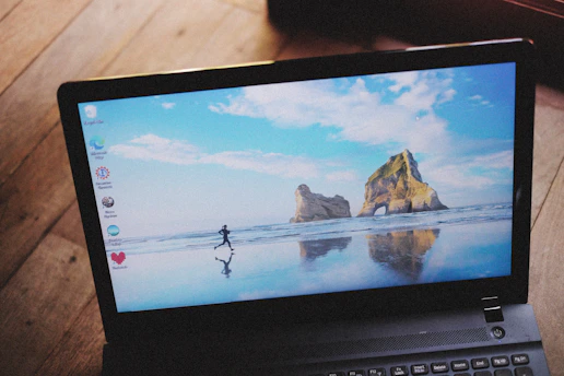 A researcher analyzing marine data on a laptop by the seaside