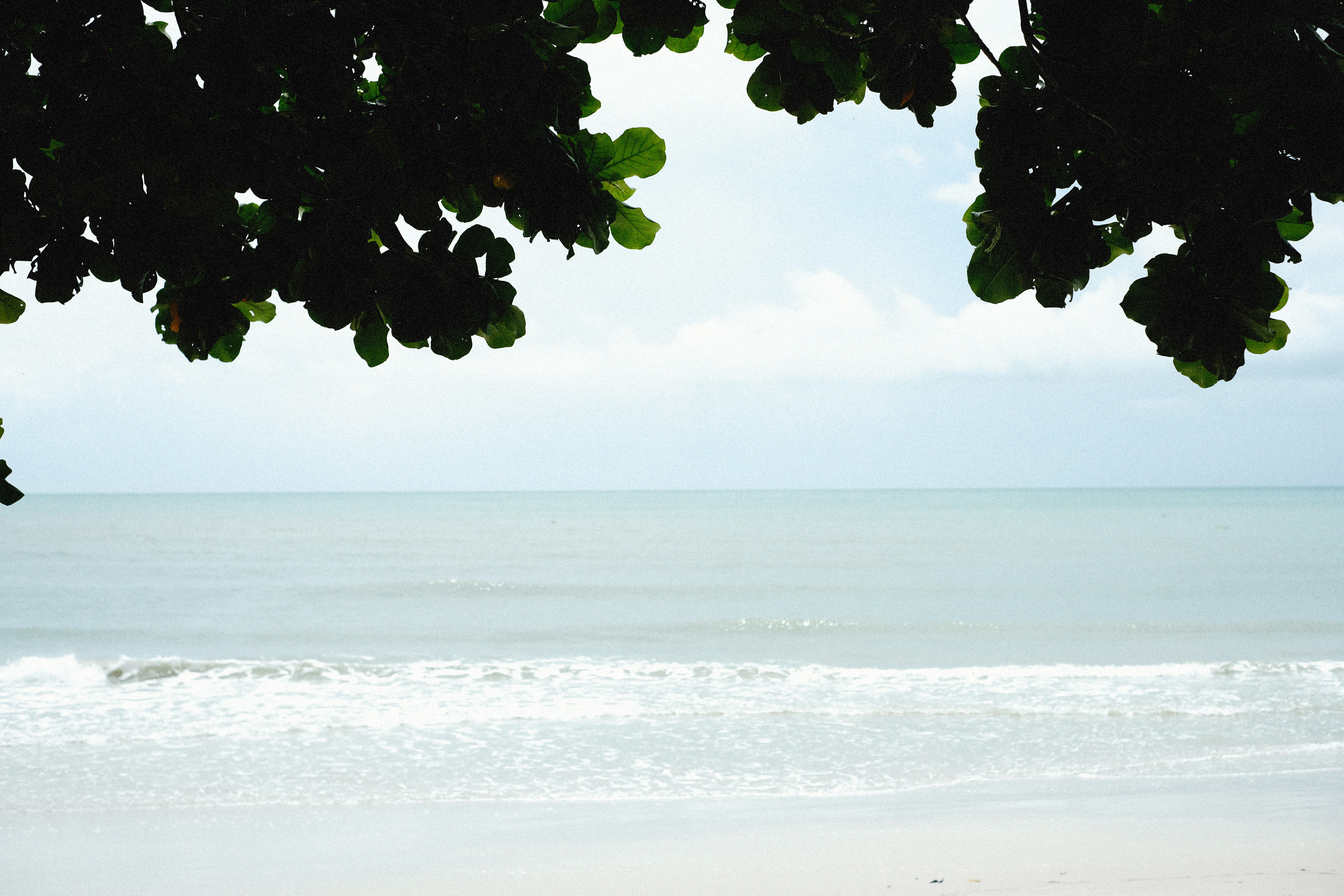 Photo by alexeydemidov