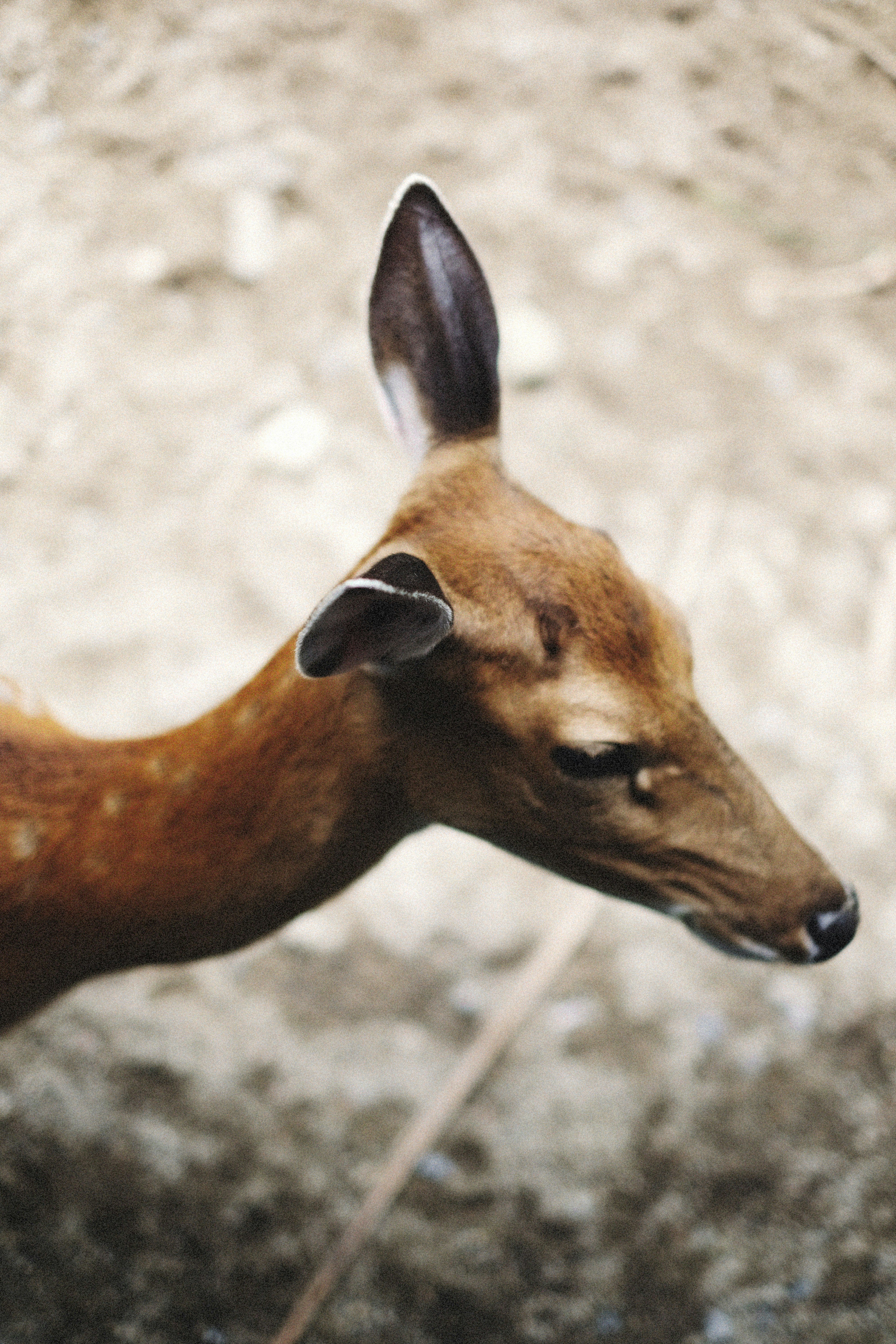 Photo by alexeydemidov