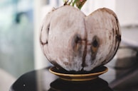 A dried coconut shell is displayed on top of a small, gold-colored dish. The background is blurred, giving the image a soft focus effect.