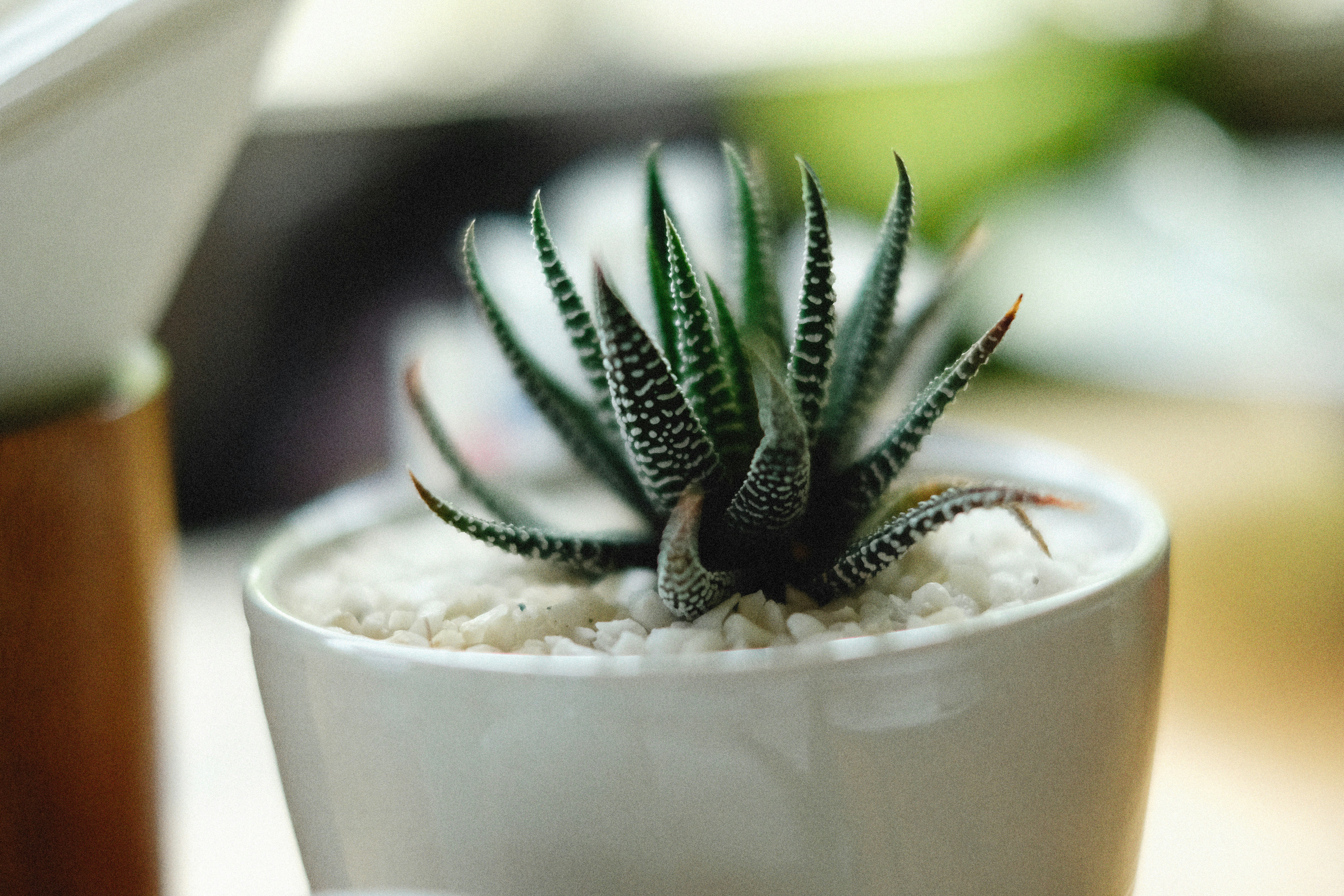 Photo by alexeydemidov