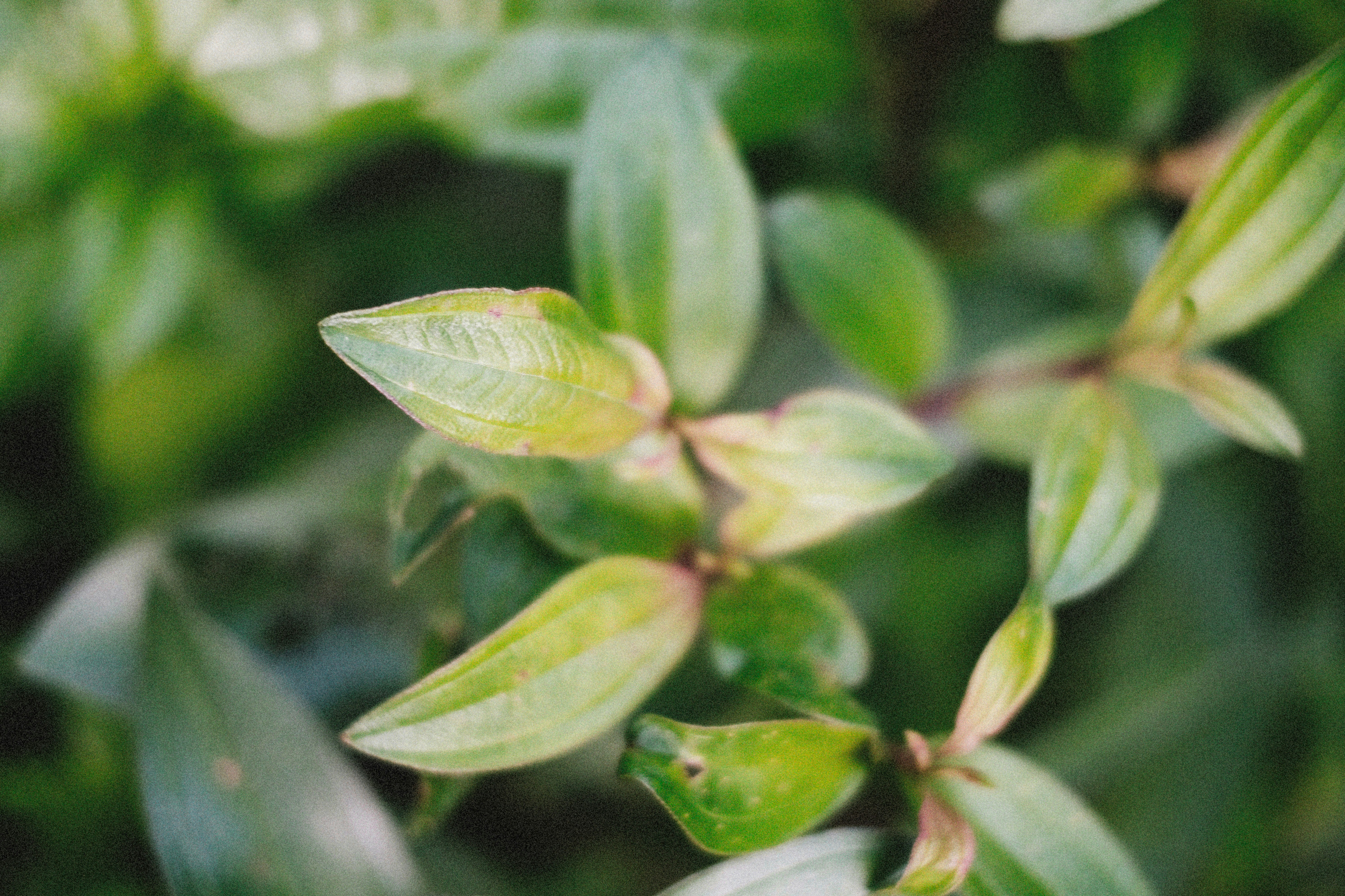 Photo by alexeydemidov