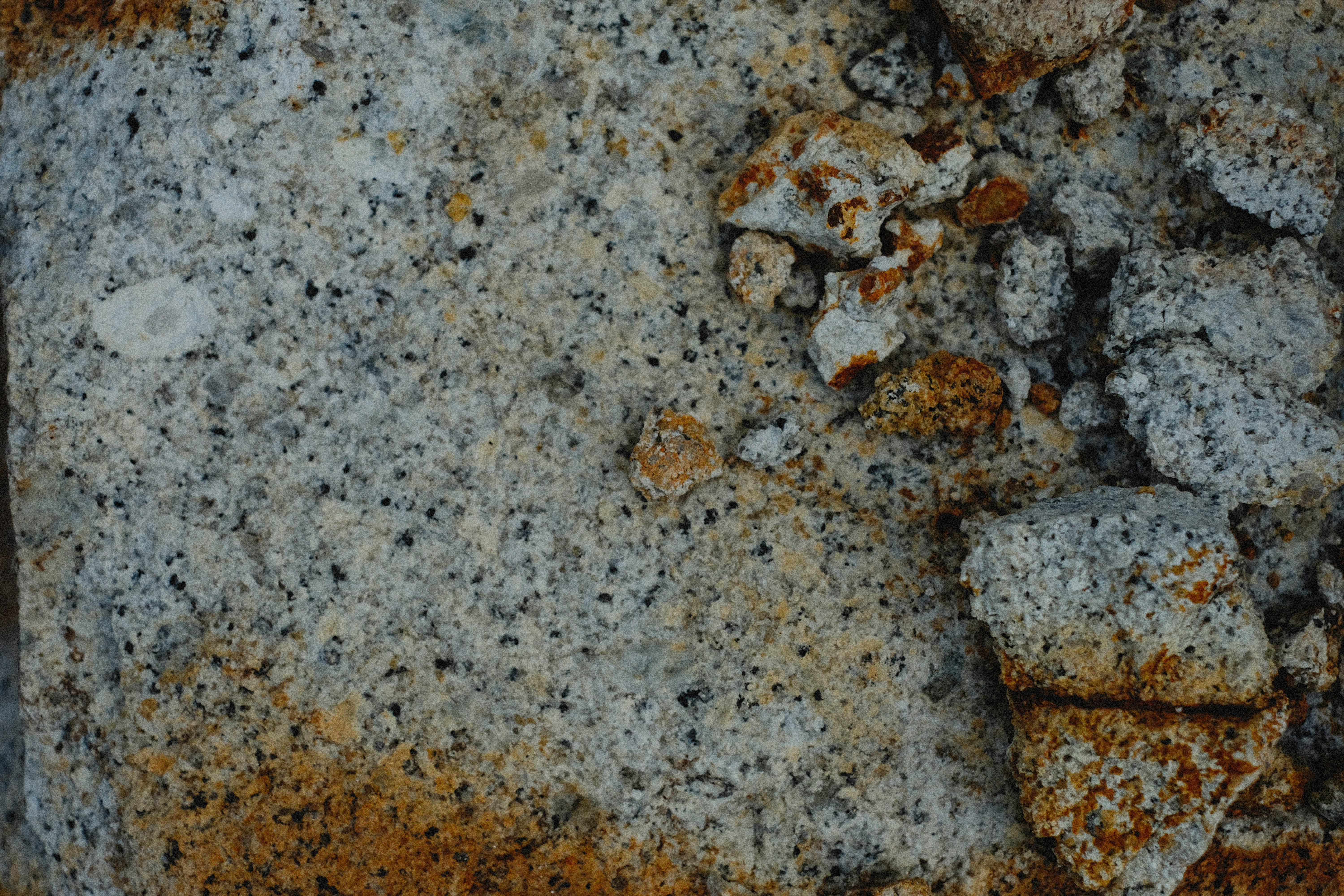 Photo by alexeydemidov