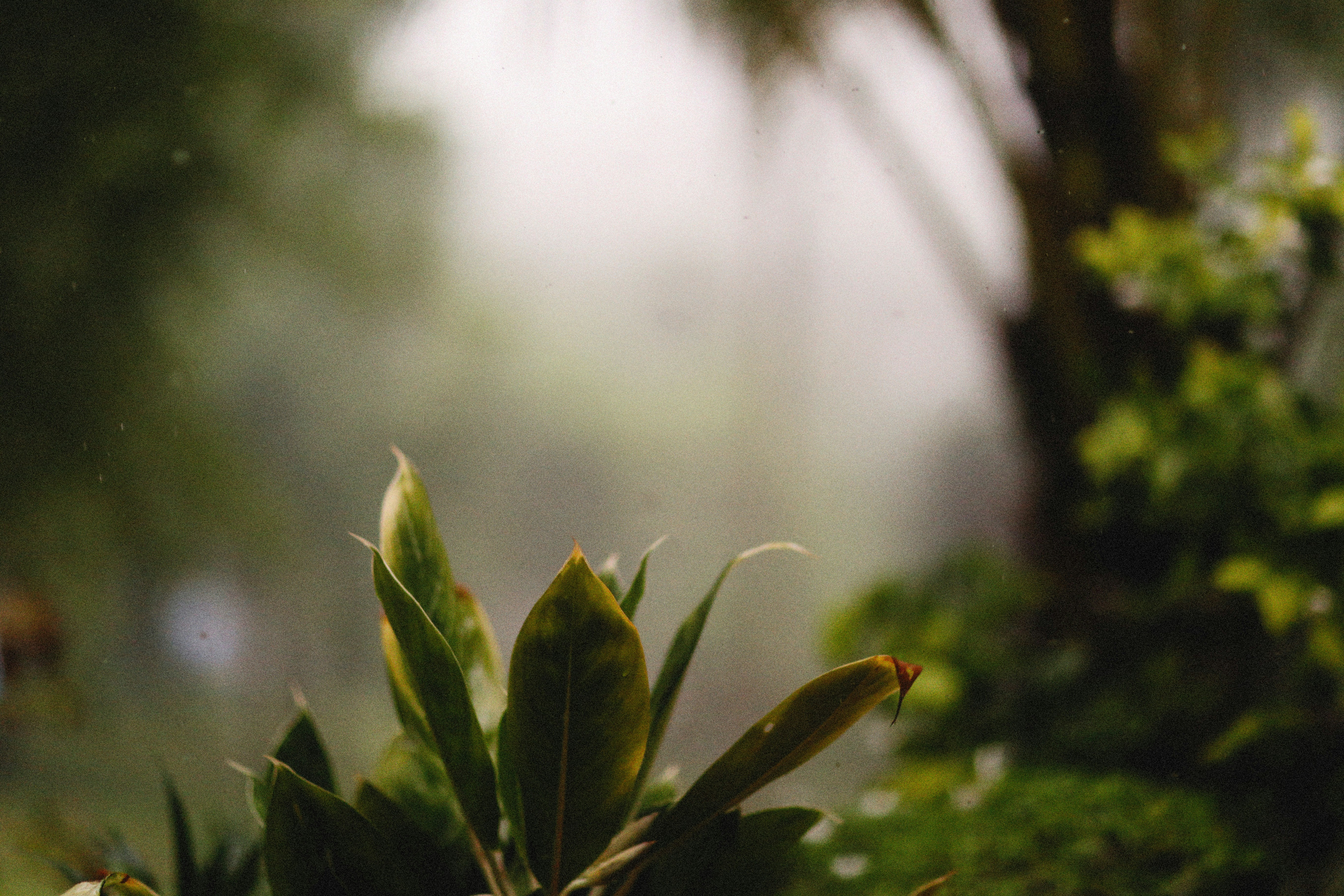 Photo by alexeydemidov