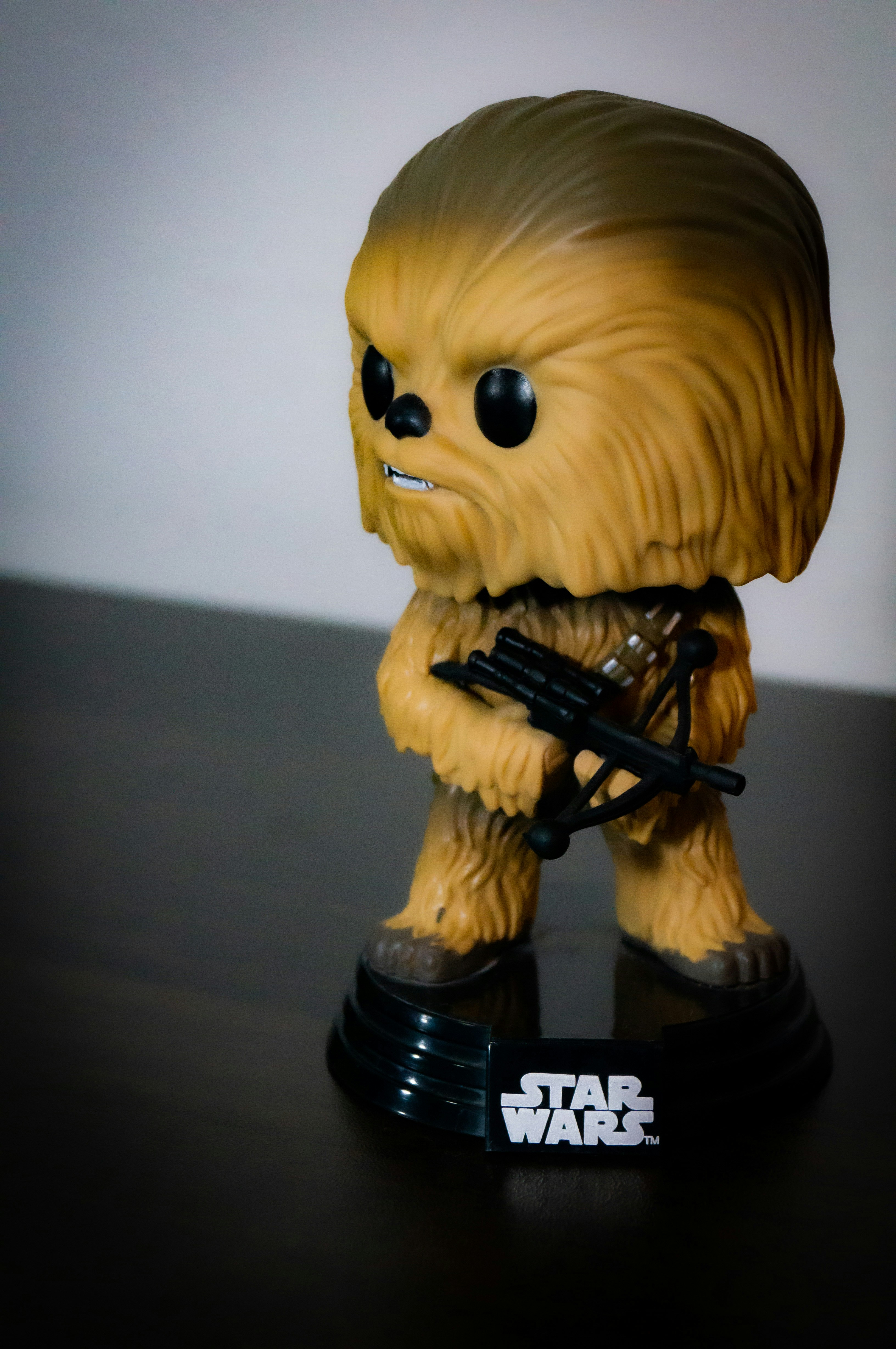 Photo by lacamaradeluigi