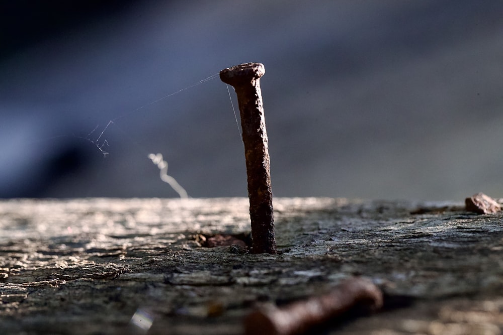 a stick sticking out of the side of a wooden floor