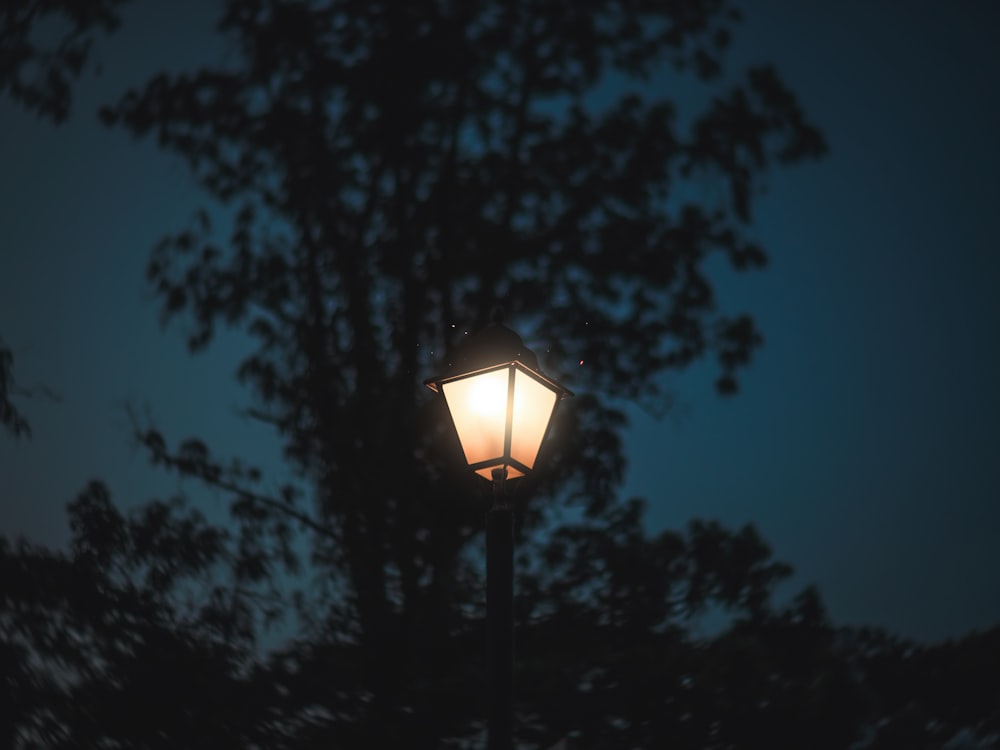 a street light with a tree in the background