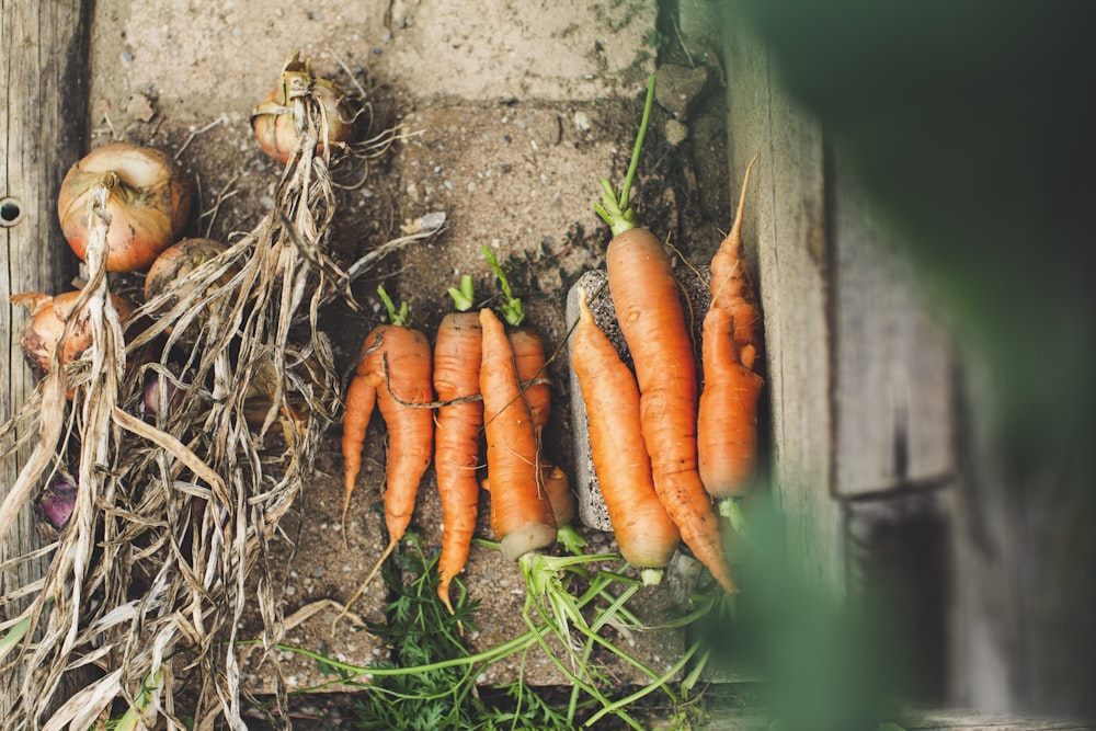 a bunch of carrots that are laying on the ground