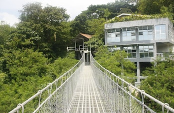 A metal suspension bridge extends over lush green foliage towards a modern glass-walled building nestled among dense trees. The structure is elevated, with a pathway allowing passage over the vibrant greenery.