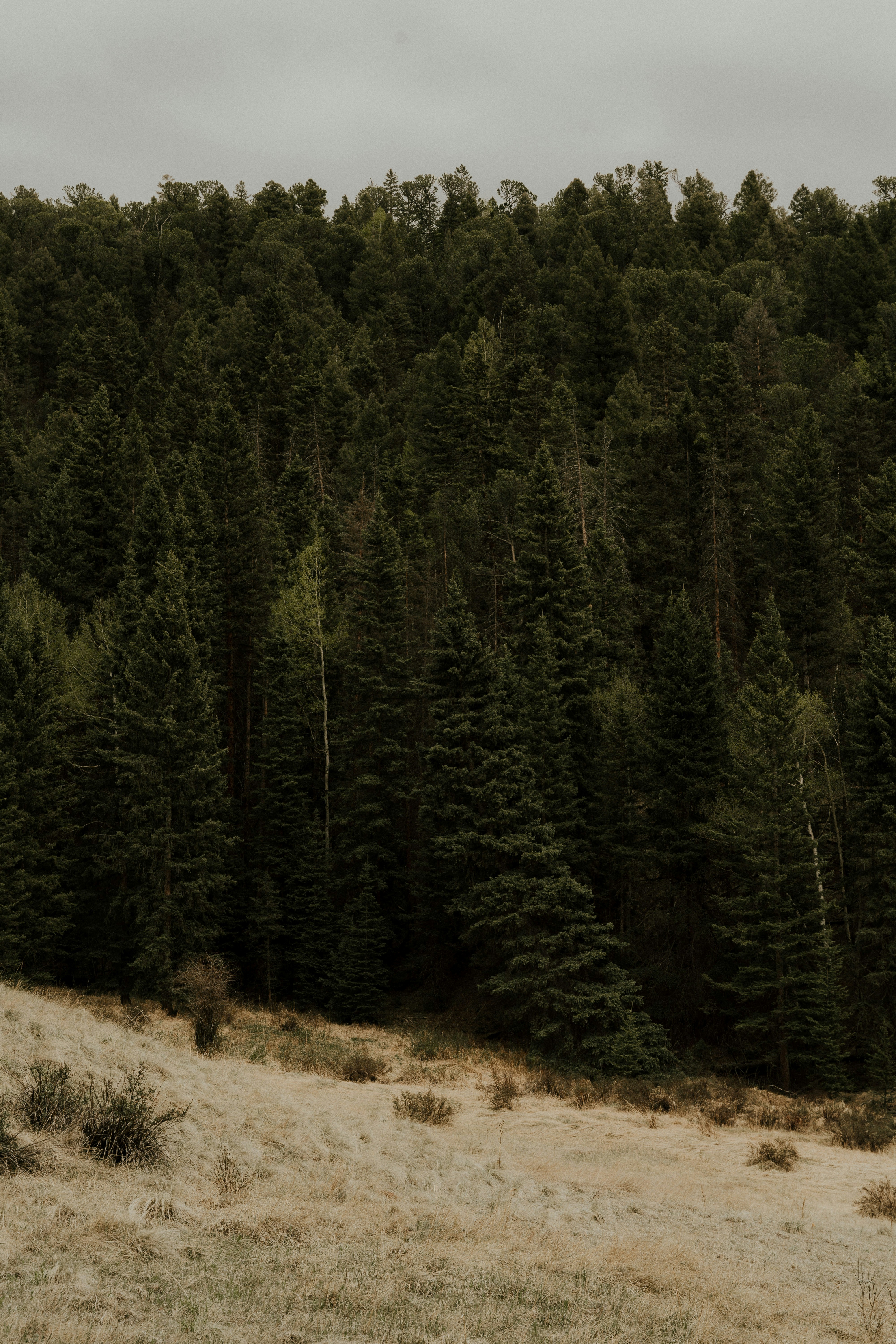 Photo by nomadicfitlust