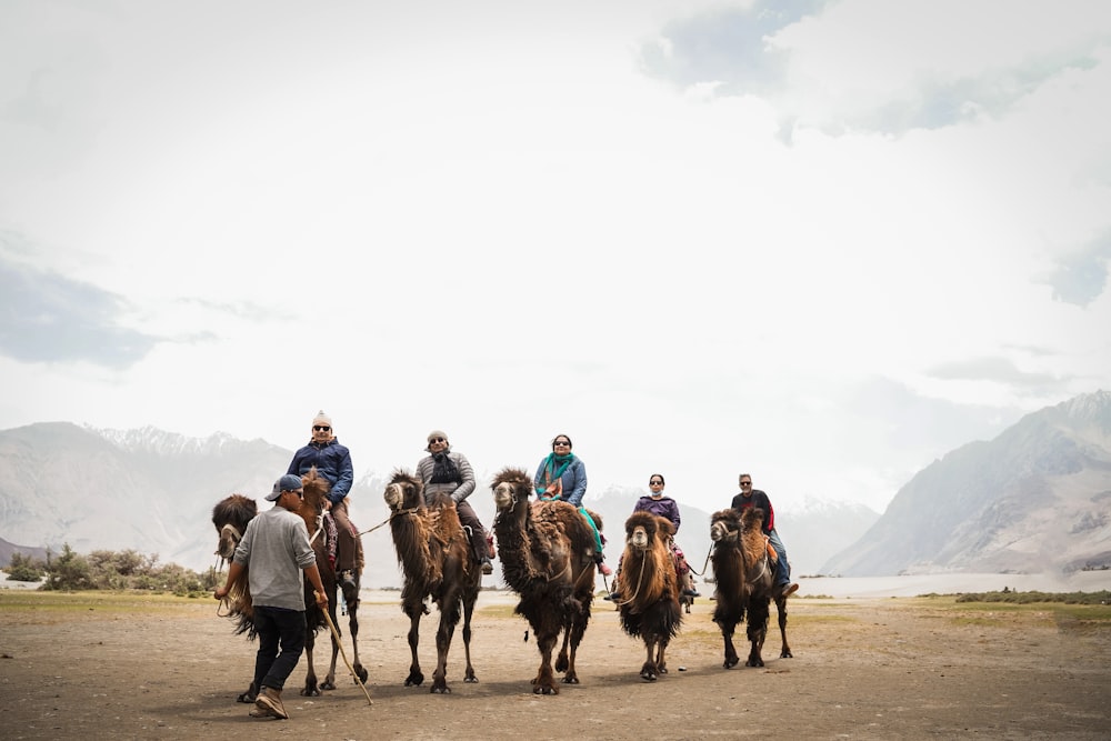 a group of people riding on the backs of horses