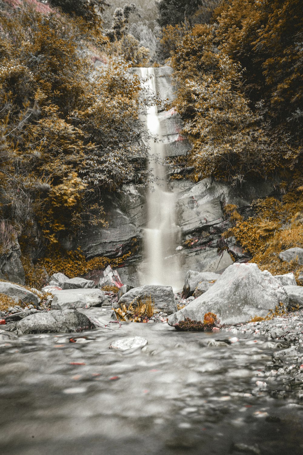 a waterfall in the middle of a forest