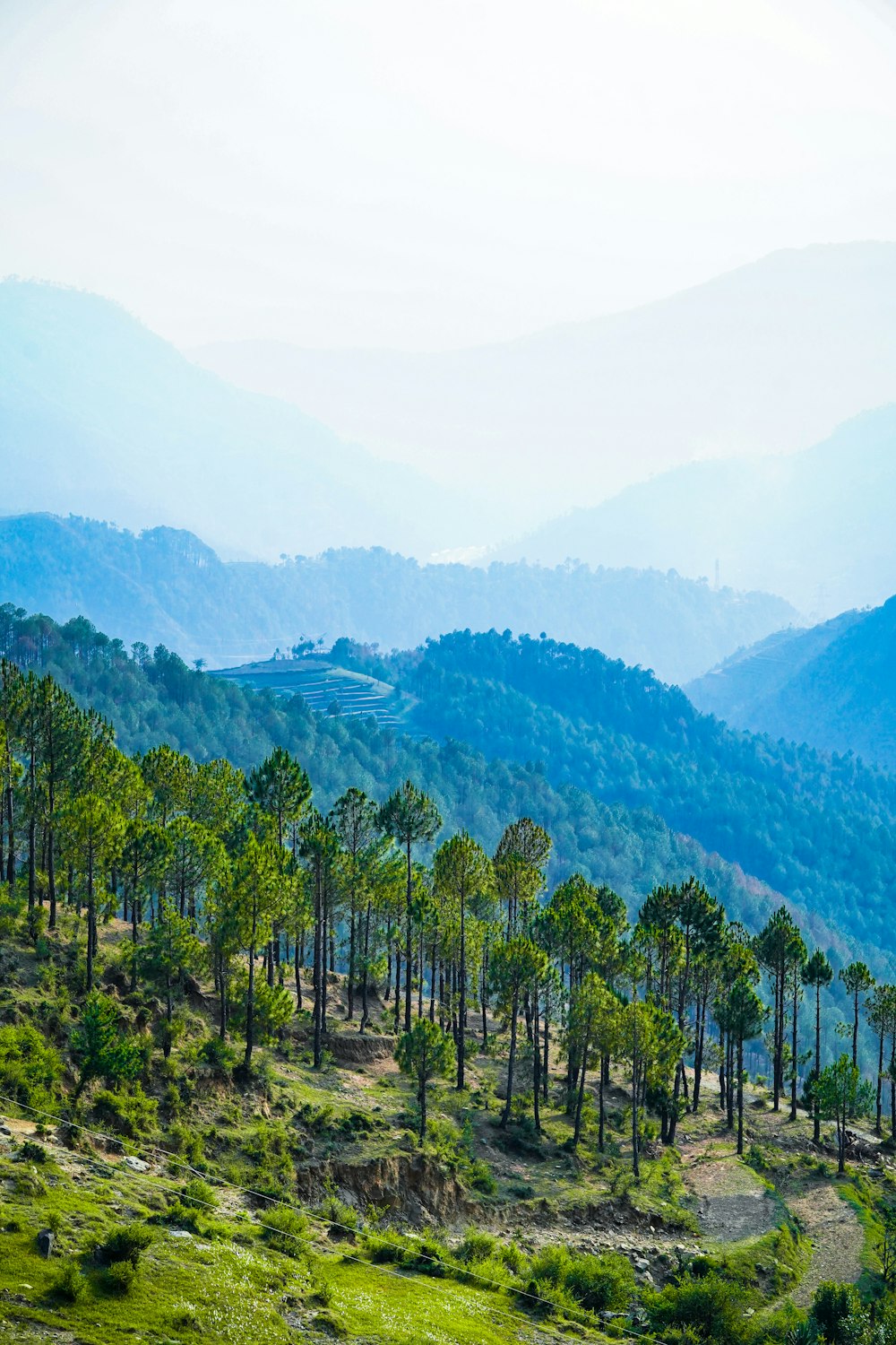 a scenic view of a mountain range with trees in the foreground