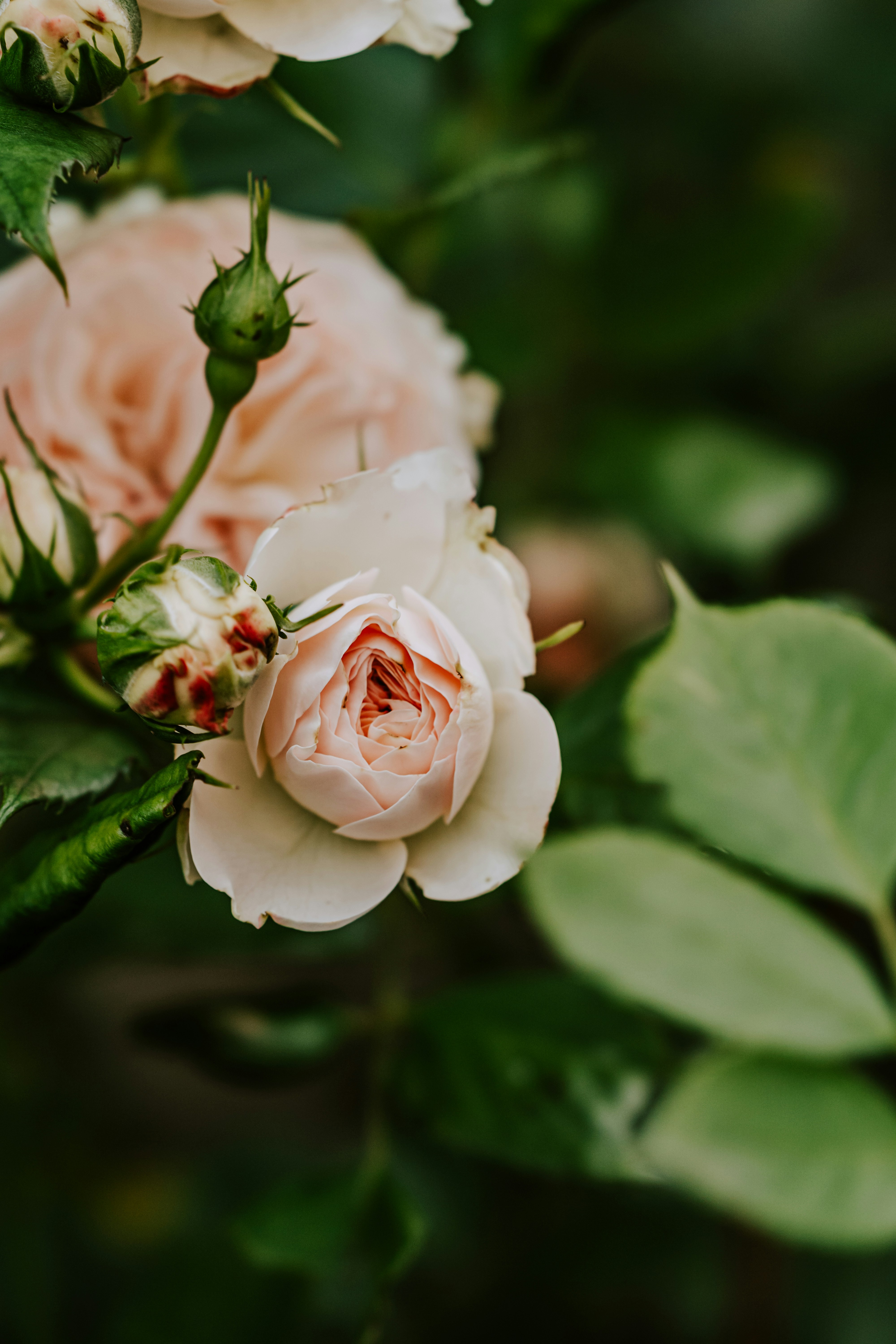 Photo by kekse_und_ich