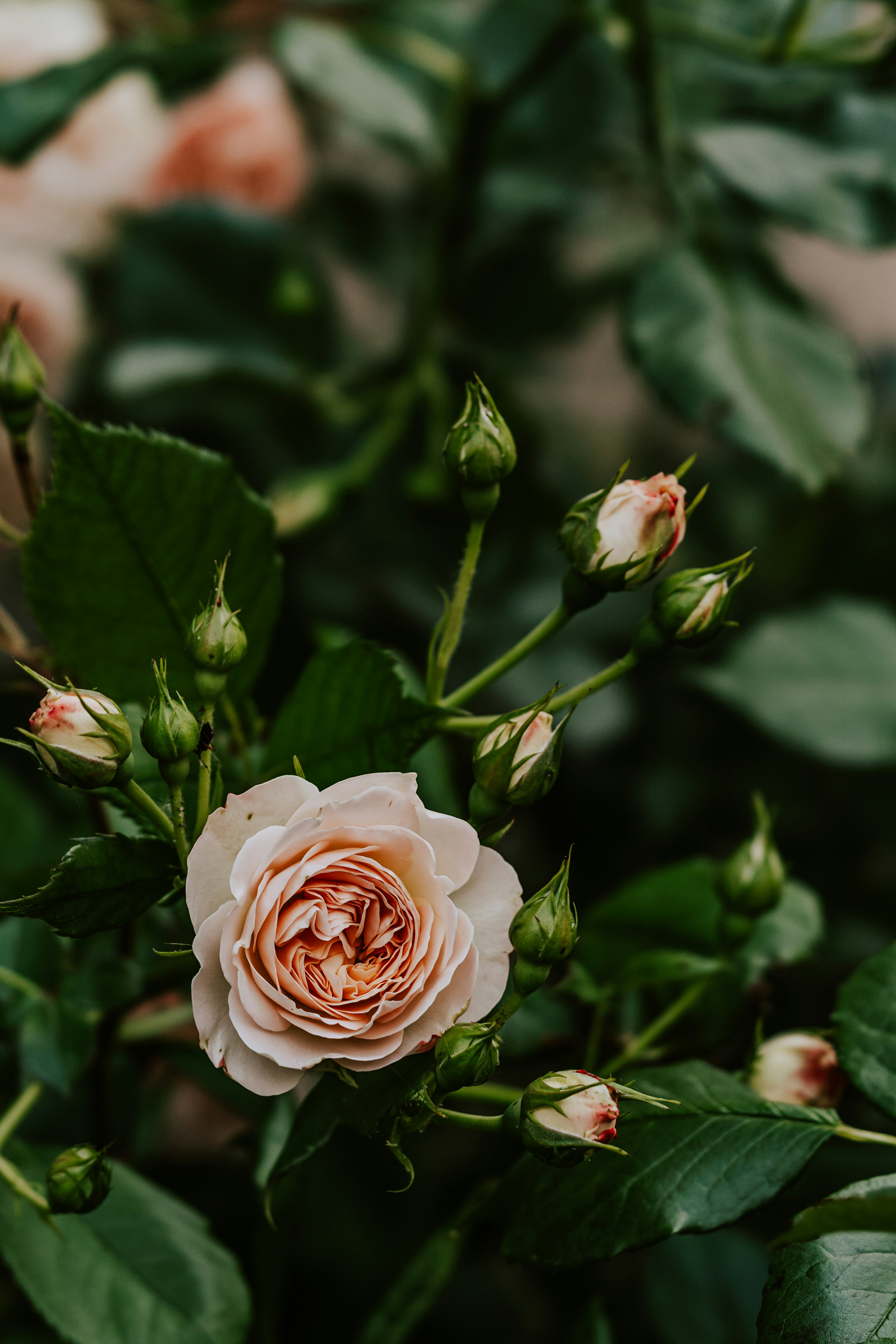 Not ready to get married