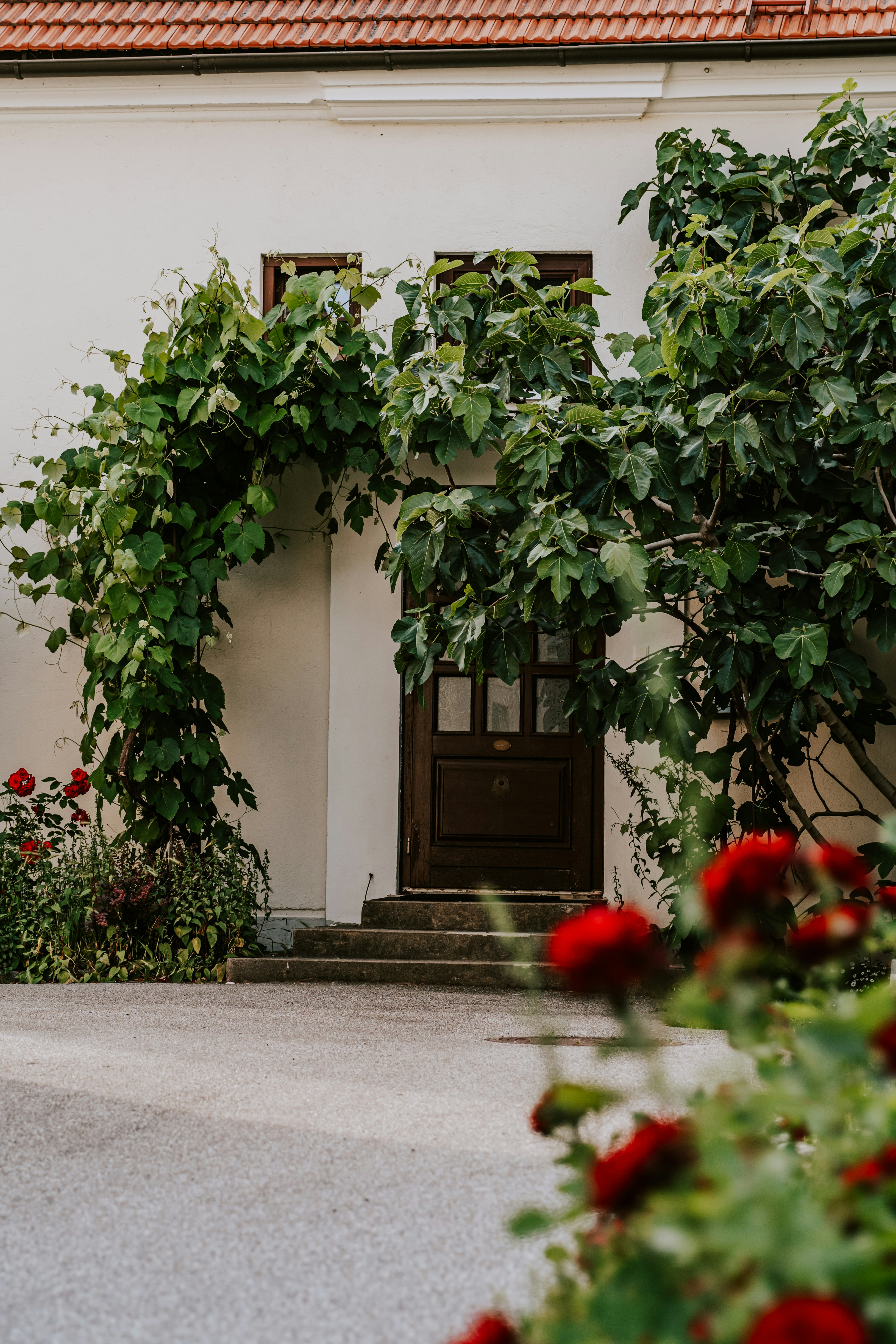 Photo by kekse_und_ich