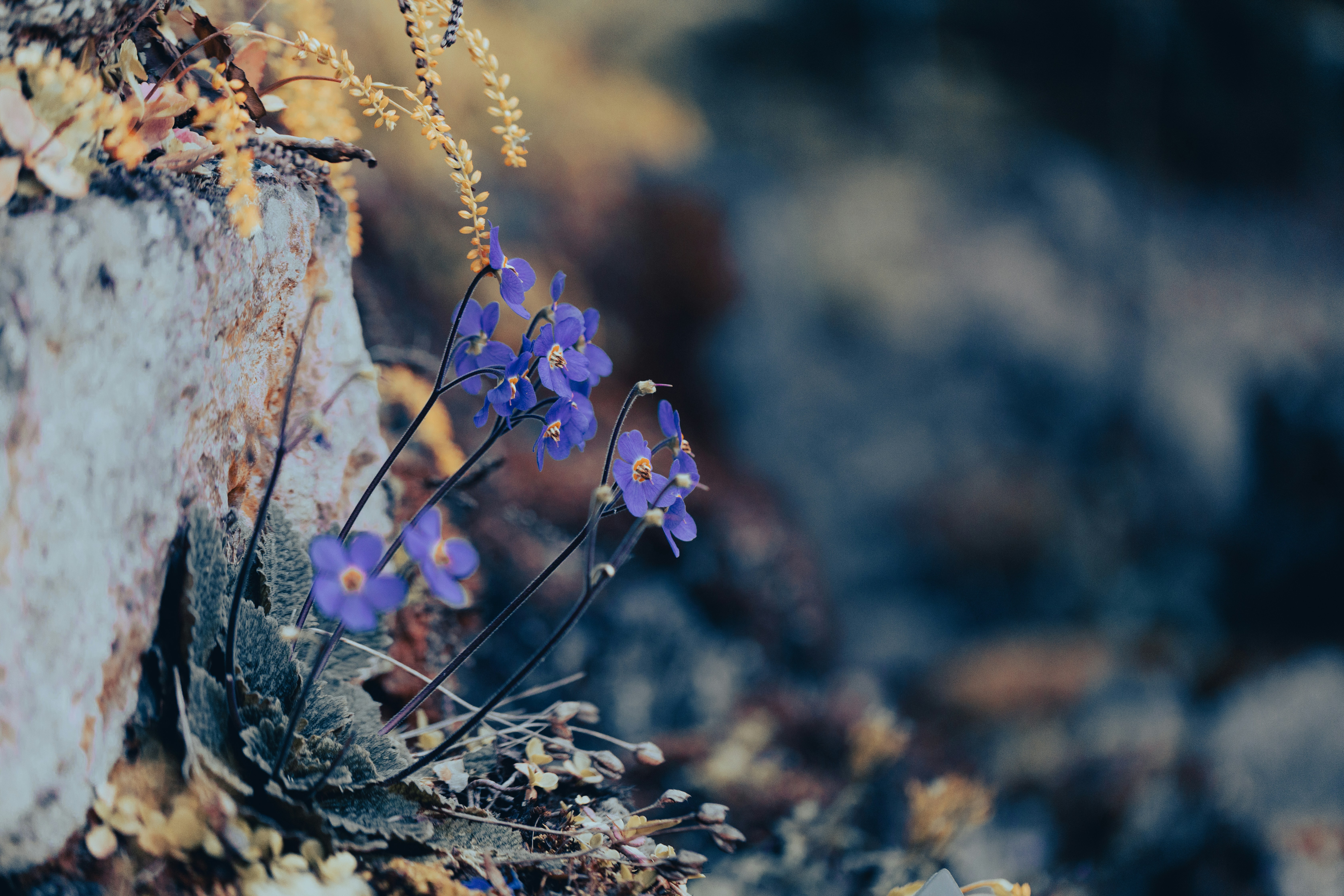 Photo by veloradio