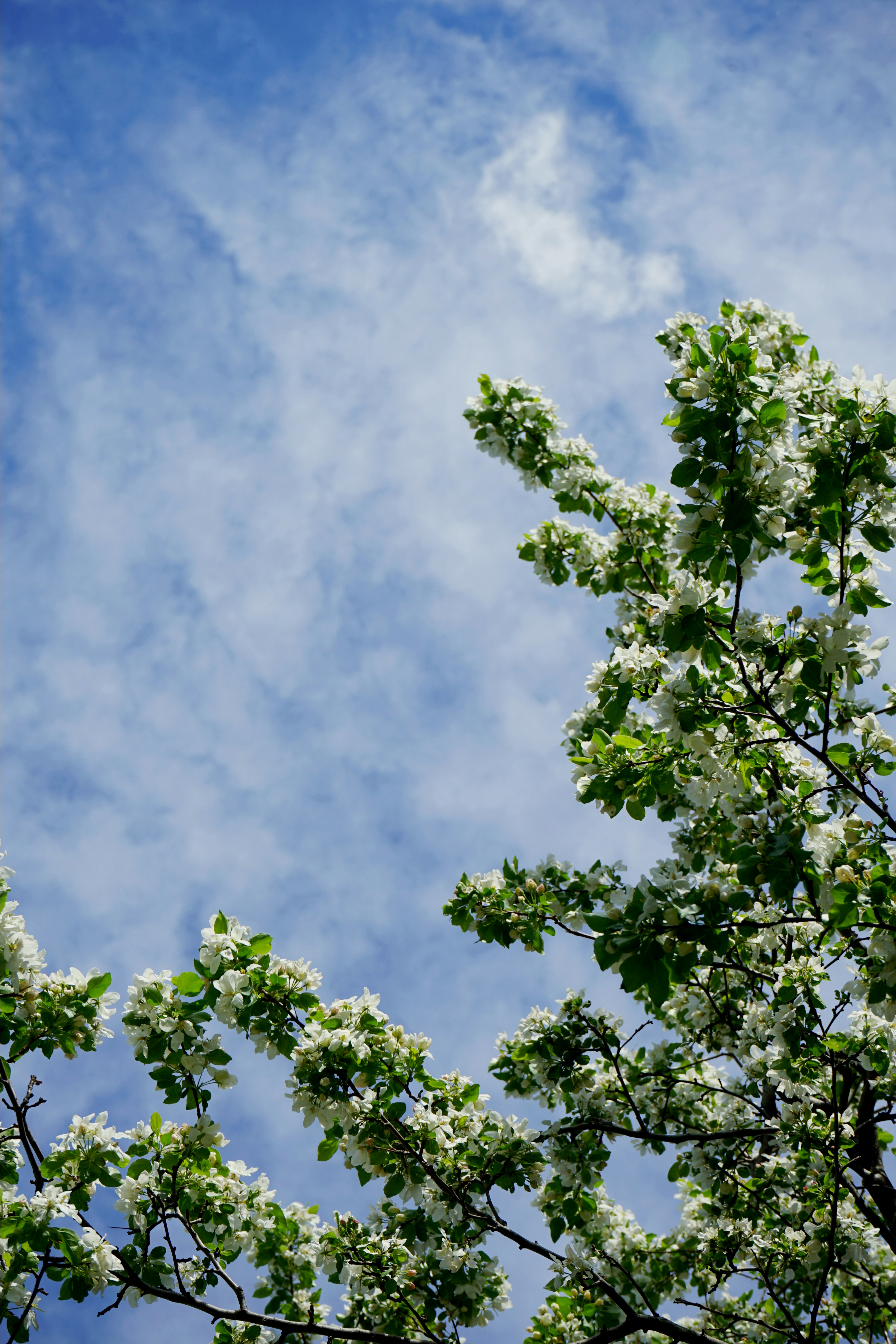 Photo by sofia_velgosh