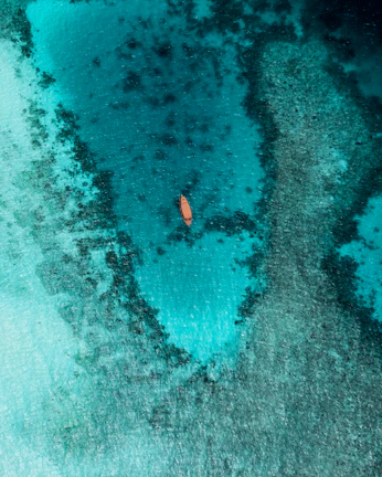A rustic wooden boat bobbing gently beside a coral reef teeming with colorful marine life.