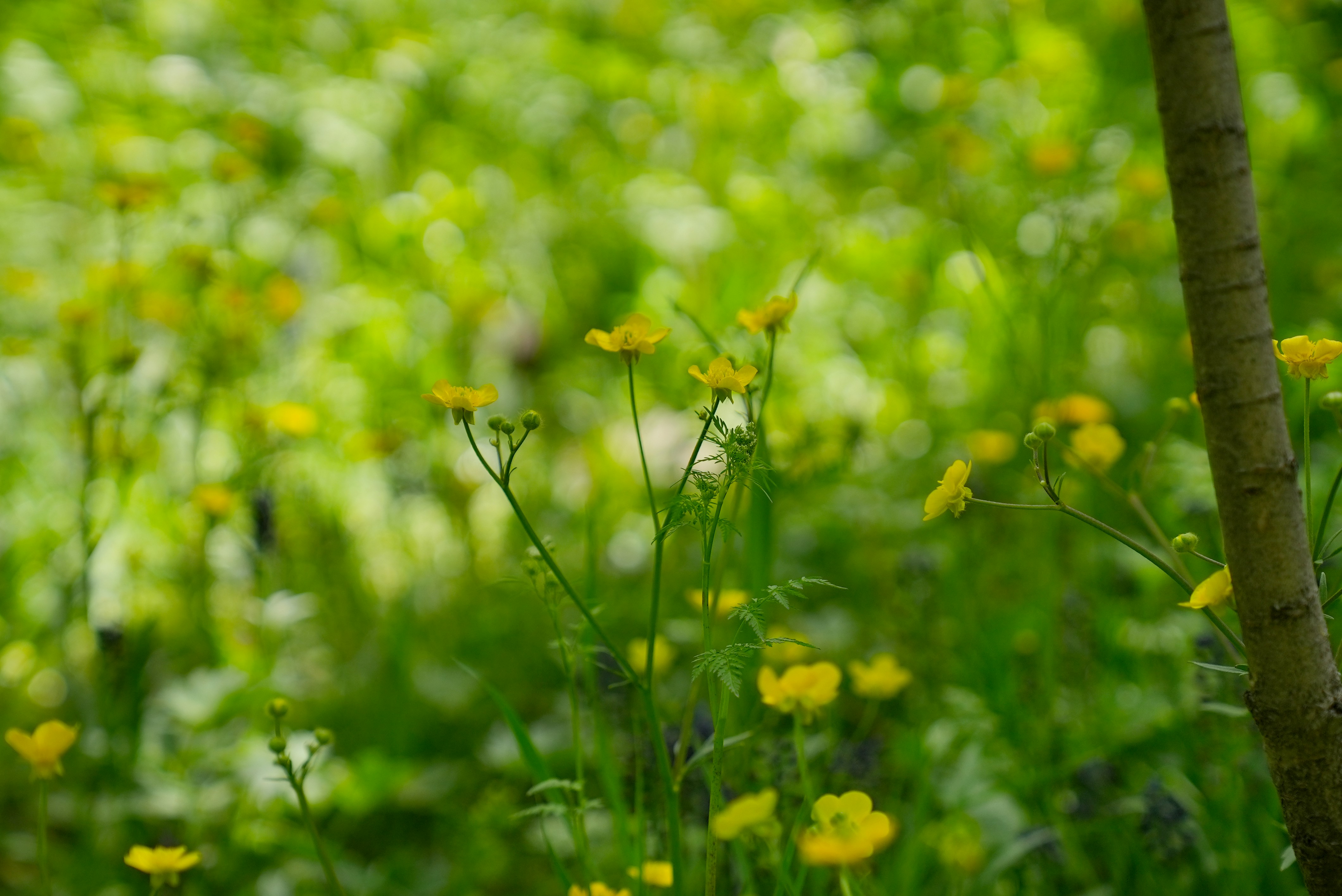 Photo by rafieeartist