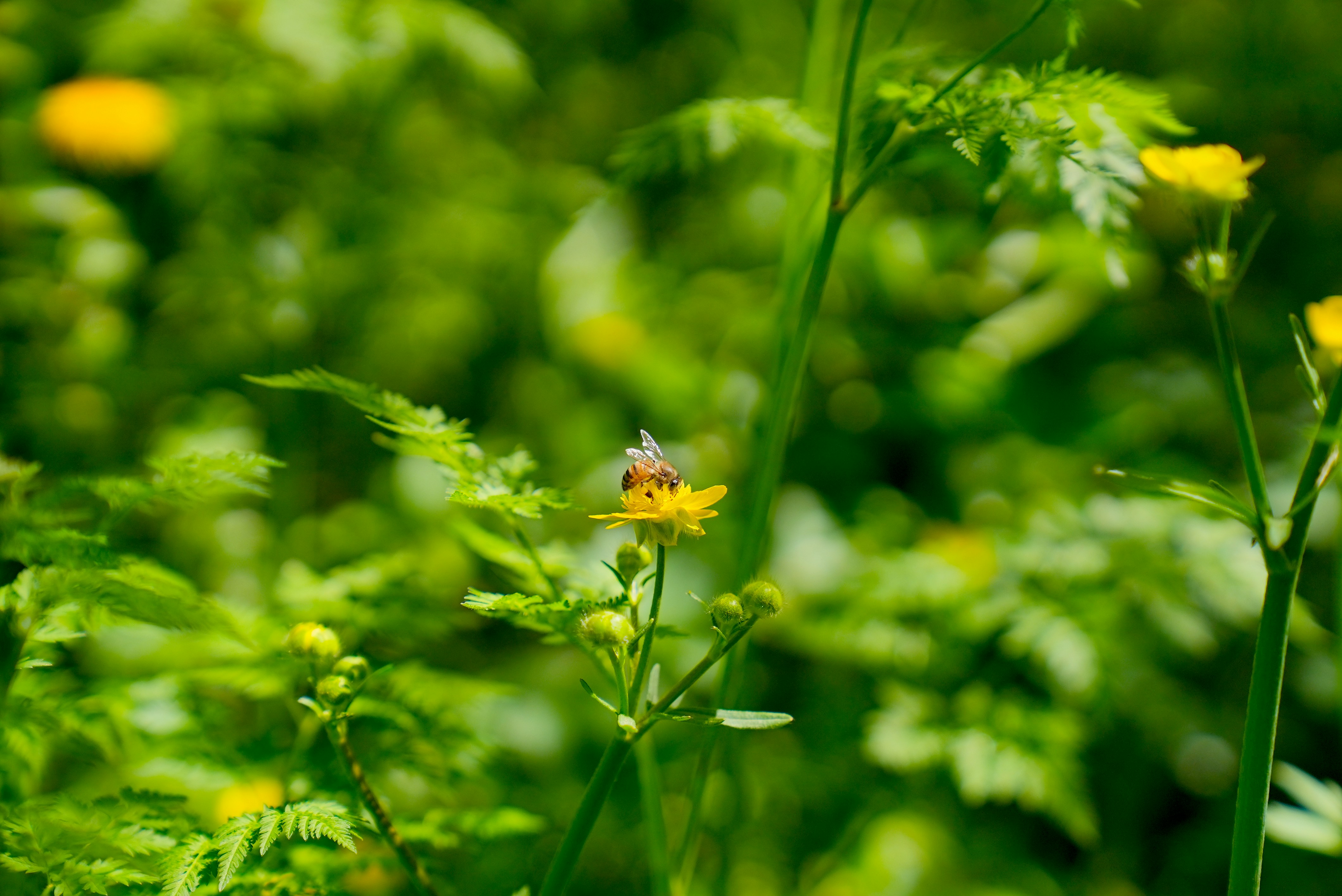 Photo by rafieeartist