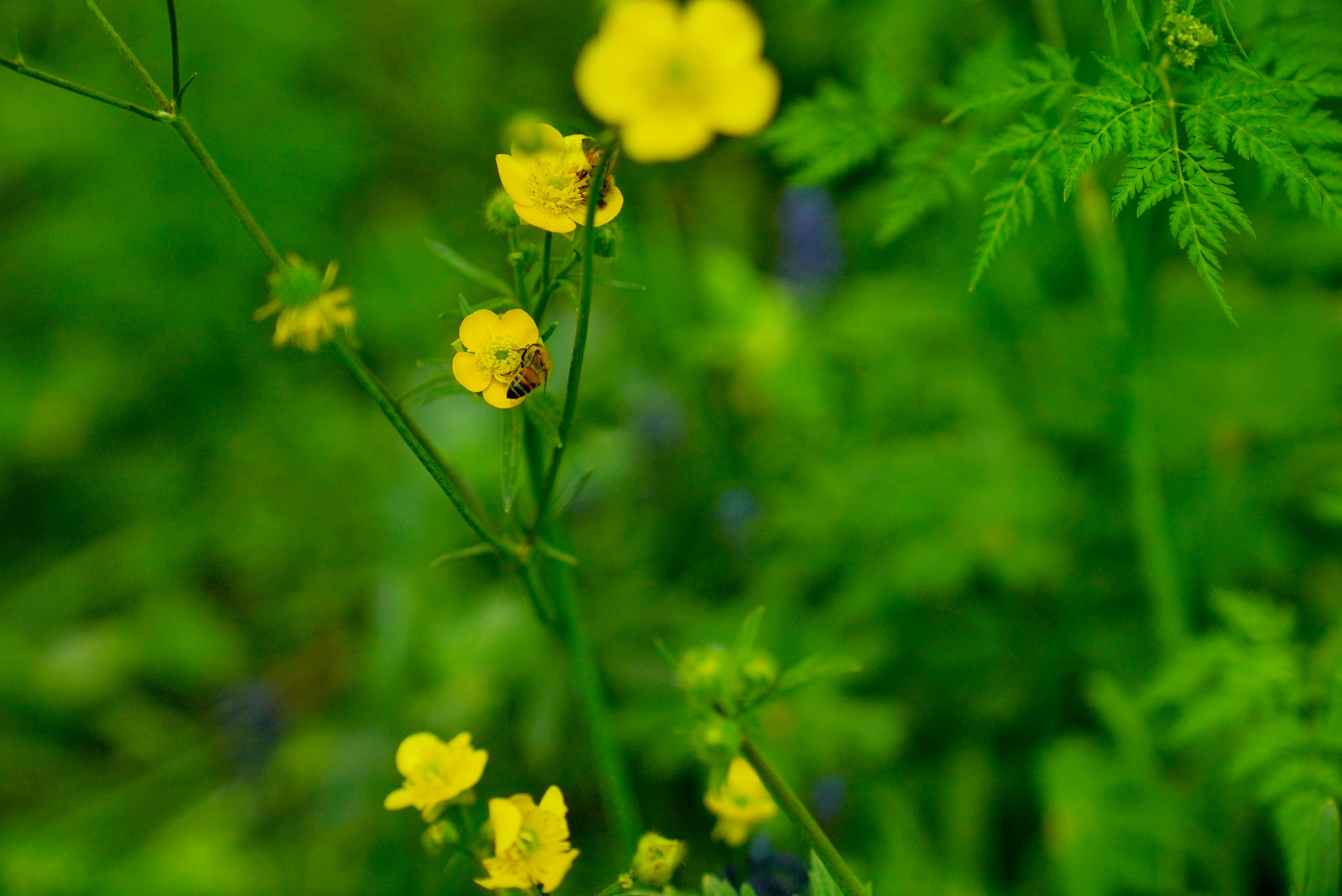 Photo by rafieeartist