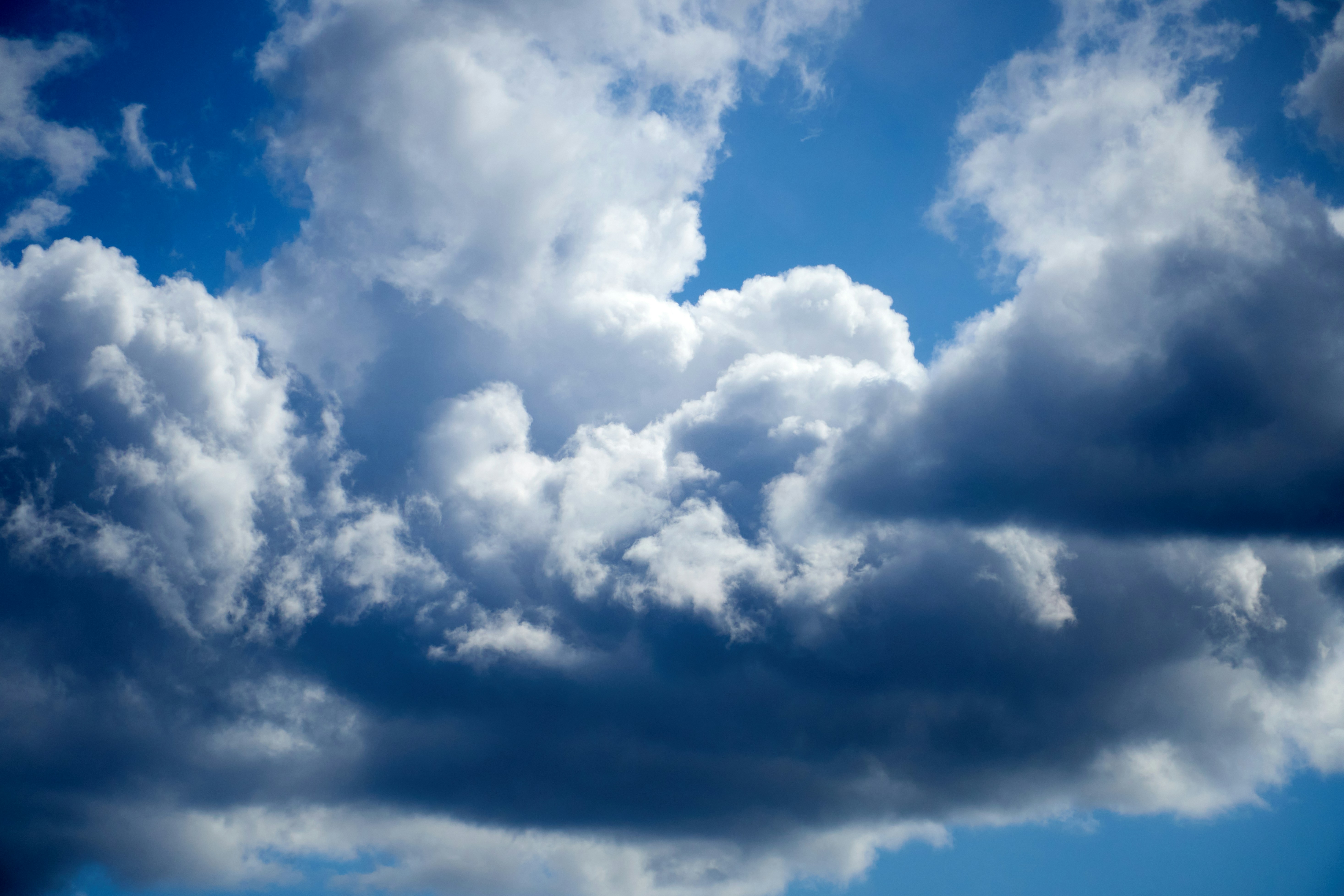 Photo by lostillusion