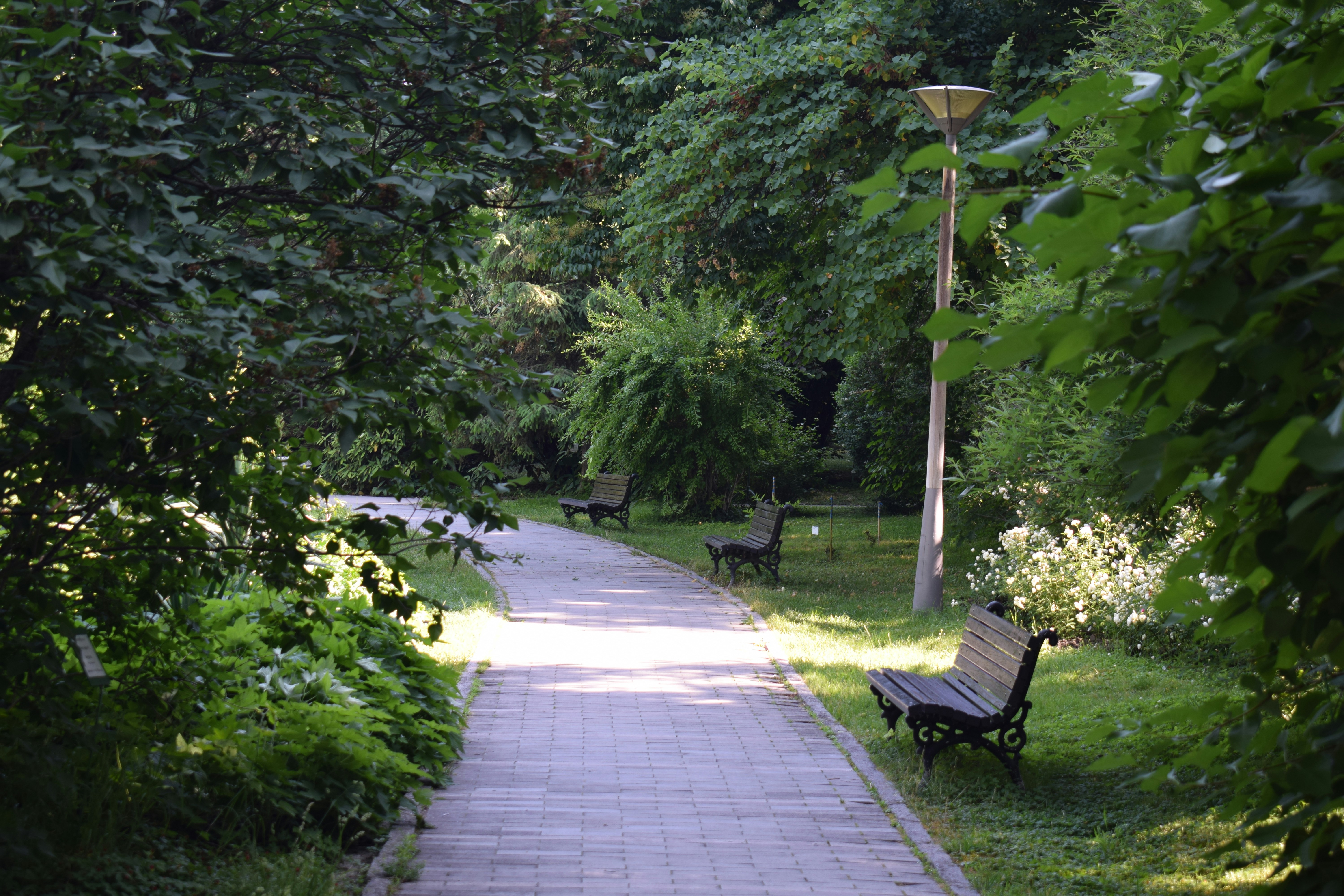 Park Prijateljstva