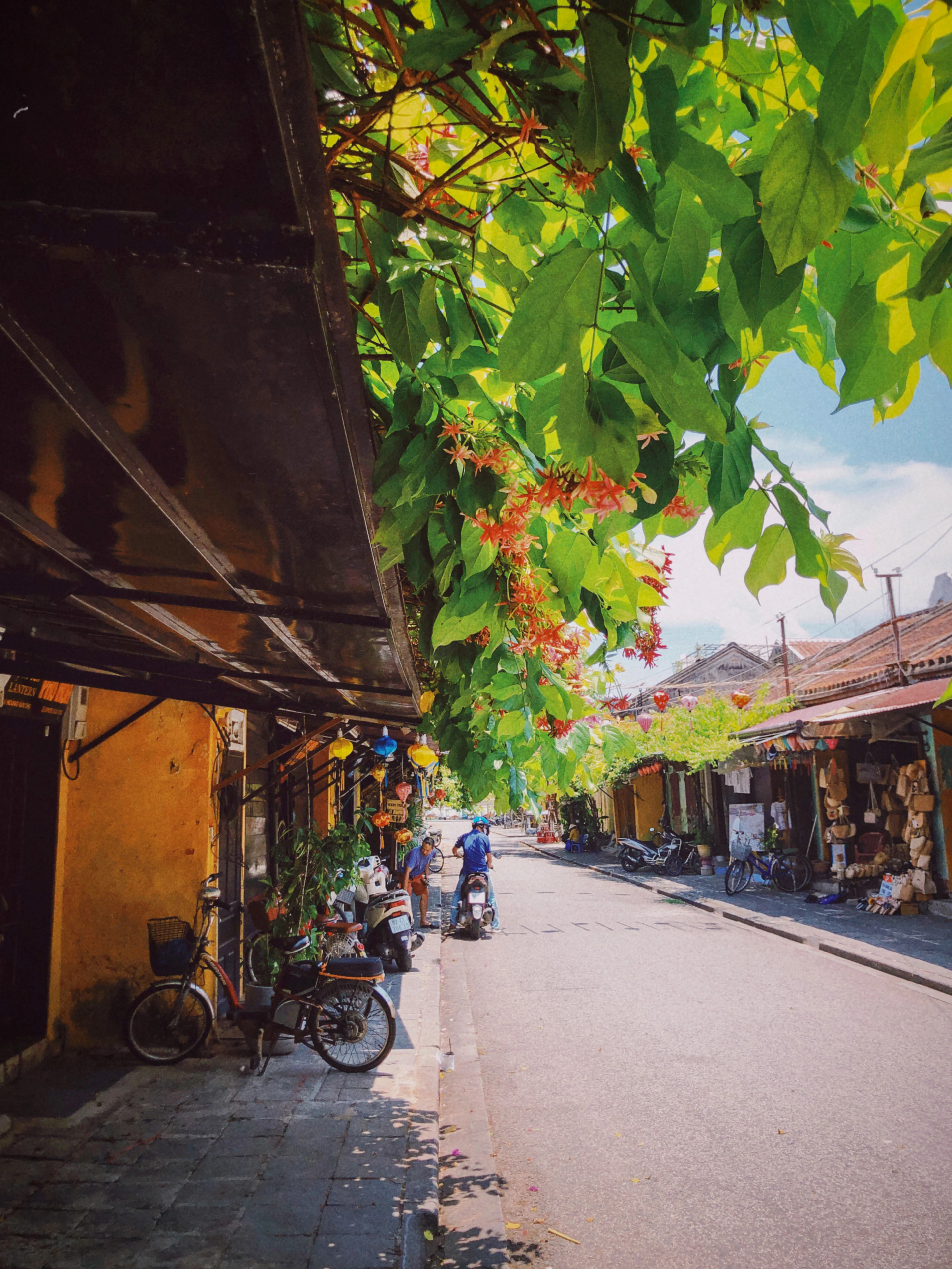 A sunlit lane in Hoi An's Ancient Town, its mustard-yellow shophouses hung with silk lanterns and shaded by a flowering vine overhead, bicycles and motorbikes leaning against the wall and stacked conical hats outside a shop opposite.