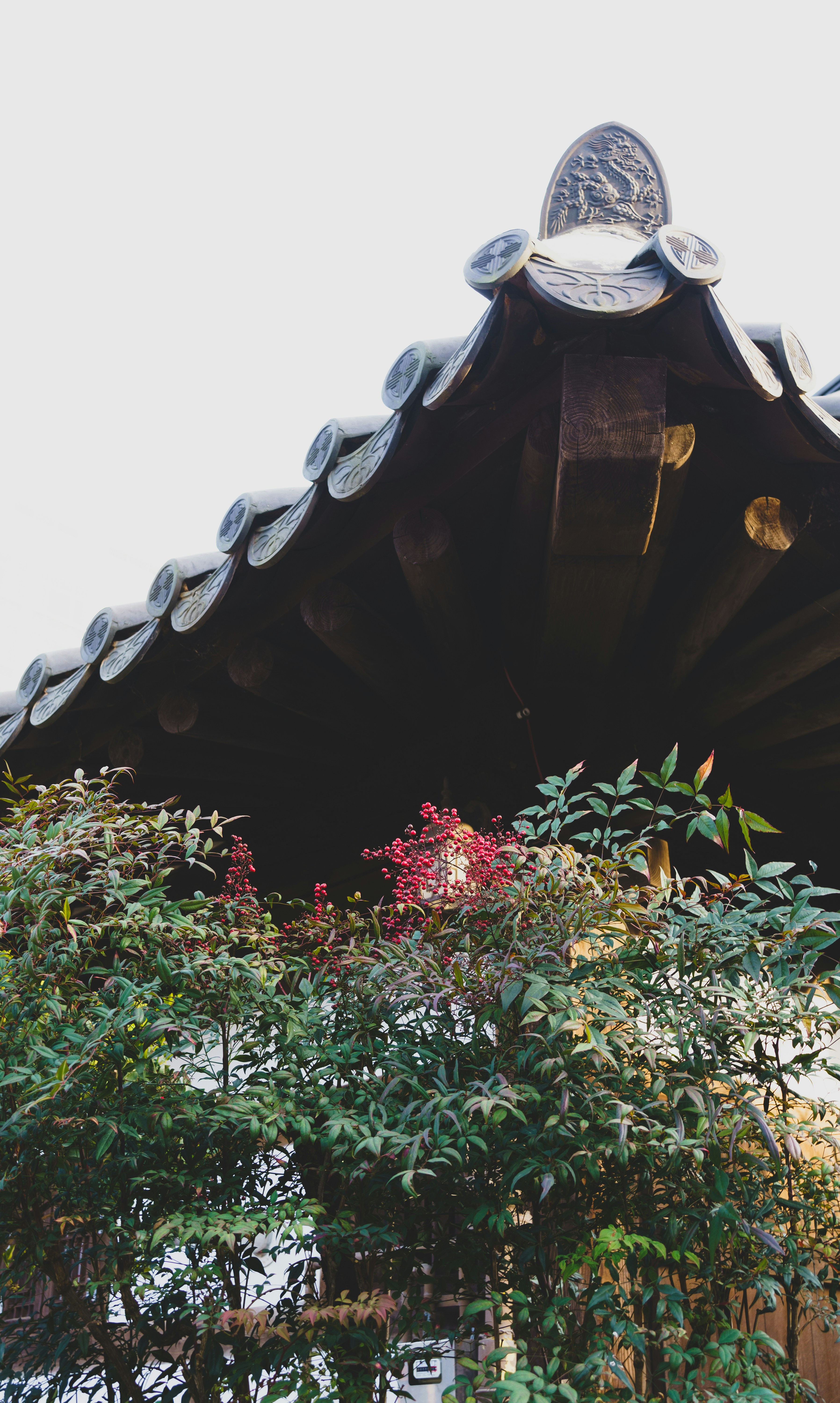 Photo by yujeongh