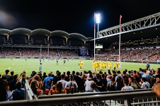 A vibrant stadium filled with cheering fans during an international rugby match.