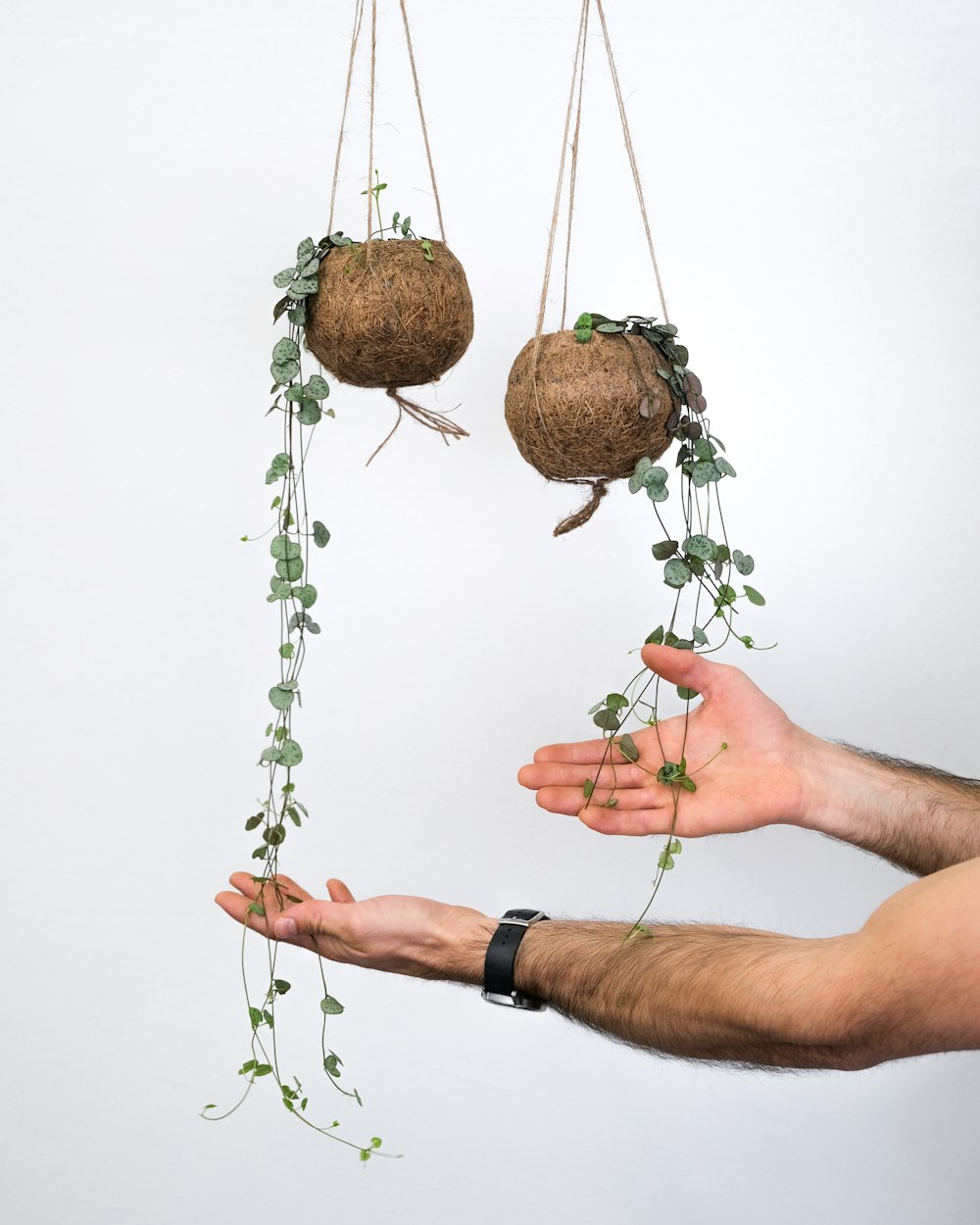 a man is holding a plant in his hand