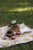 a picnic blanket on the grass with a tea pot, book, strawberries,