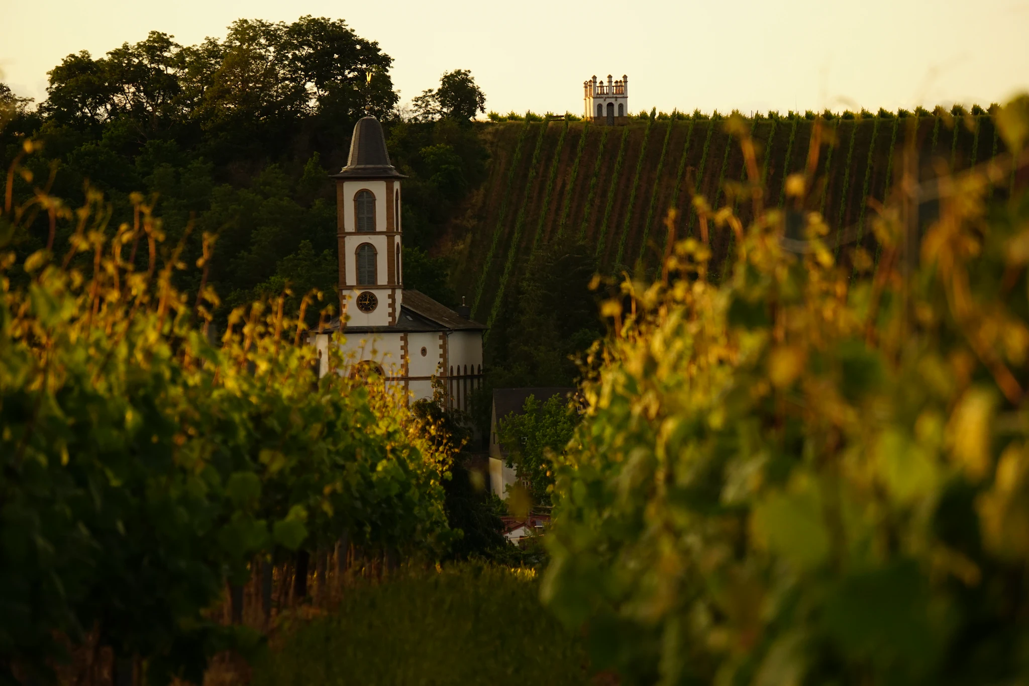 Pomerol