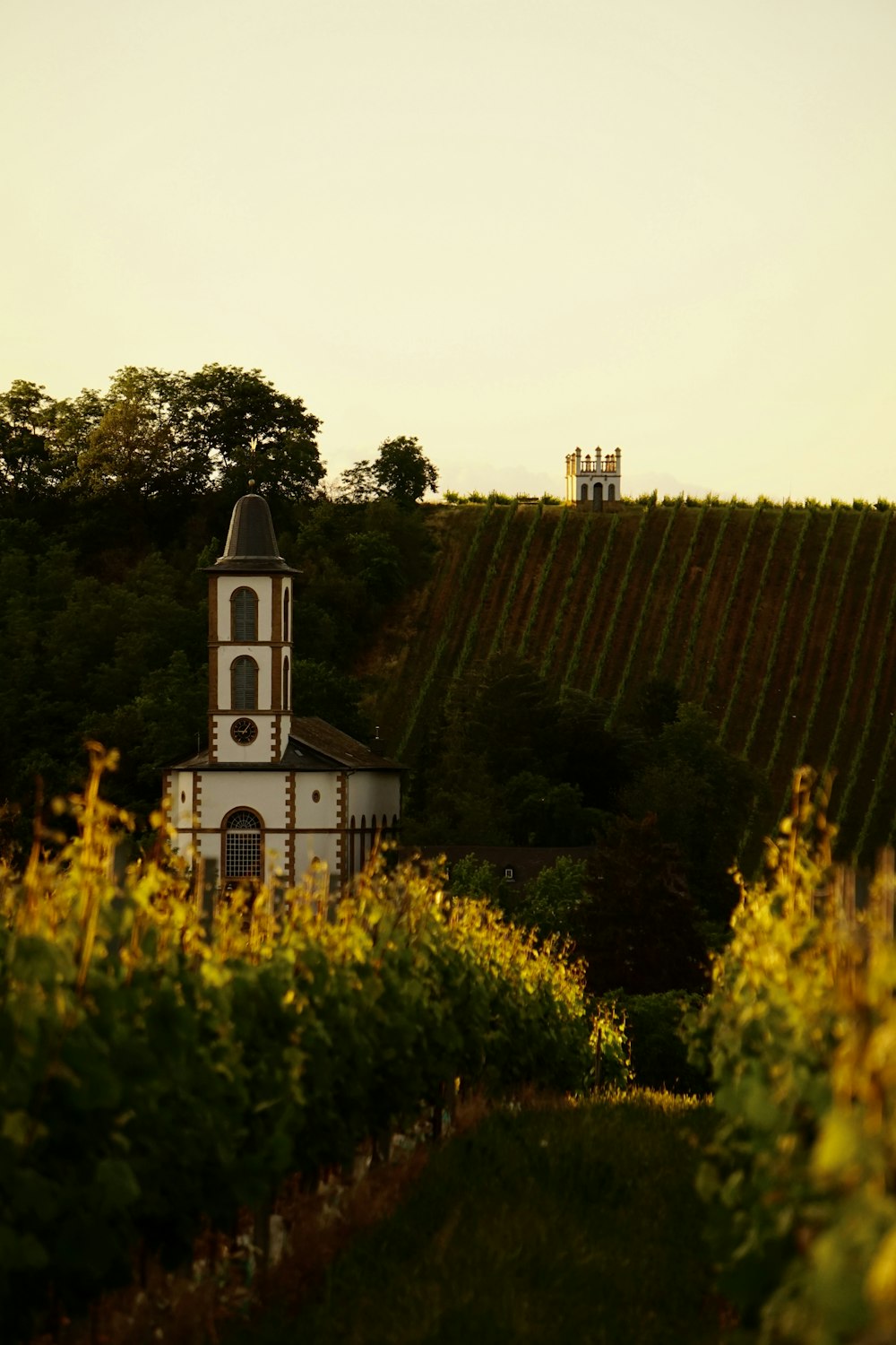 Eine Kirche inmitten eines Weinbergs