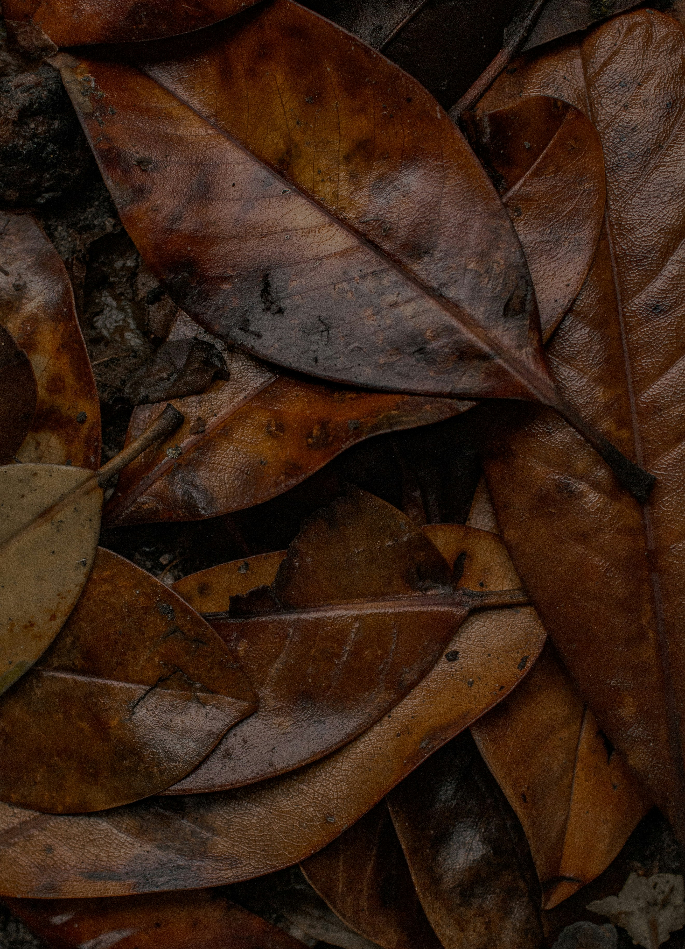 Photo by gamanalice3012