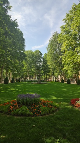 A quiet city park where youth relax and connect amidst blooming flowers and tall trees.