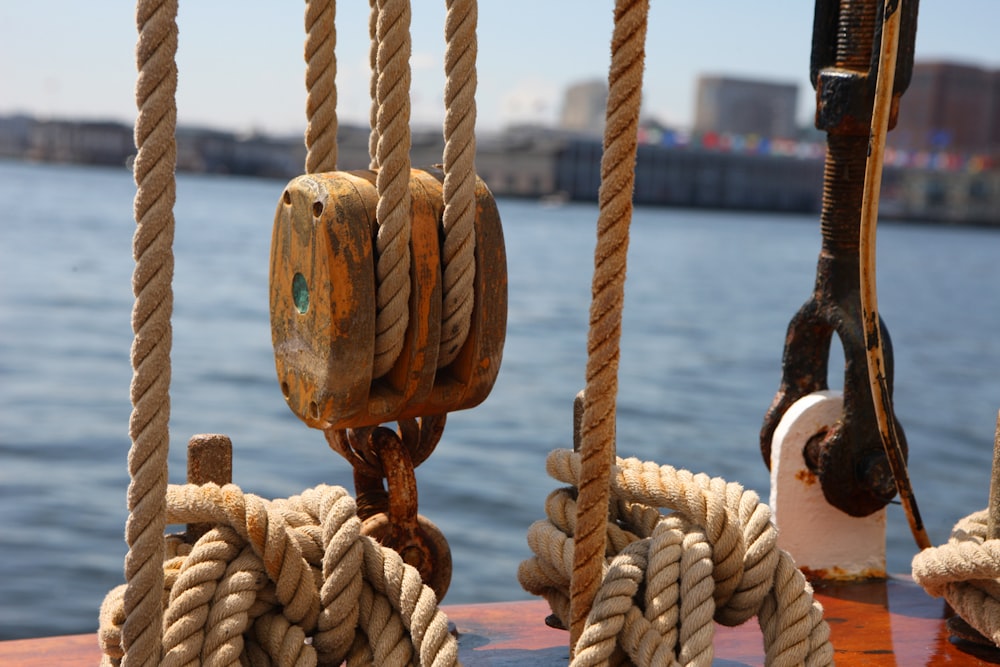 Foto Un primer plano de cuerdas en un bote en el agua – Imagen Bostón  gratis en Unsplash
