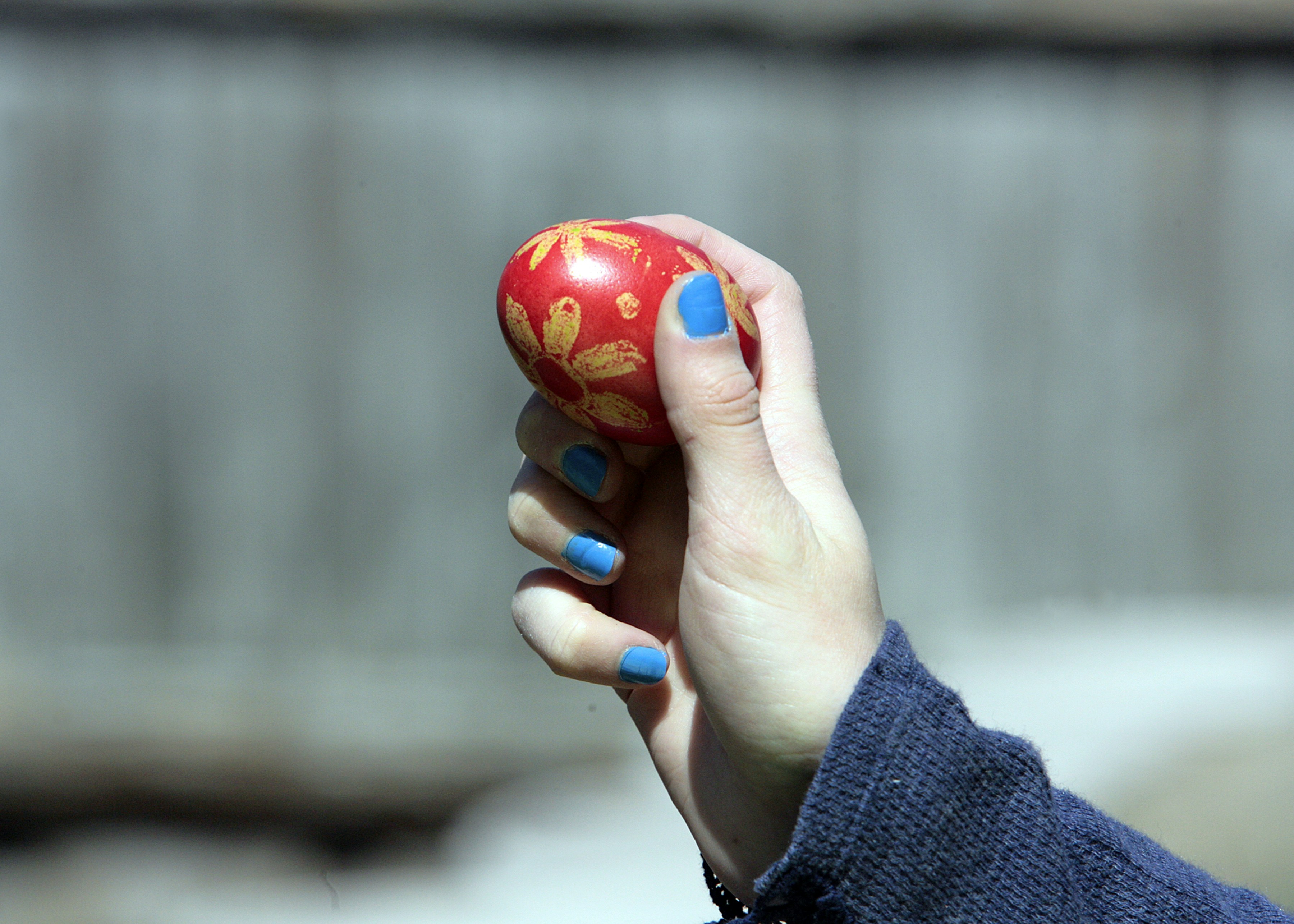 Egg Roll King Savannah Ga Menu