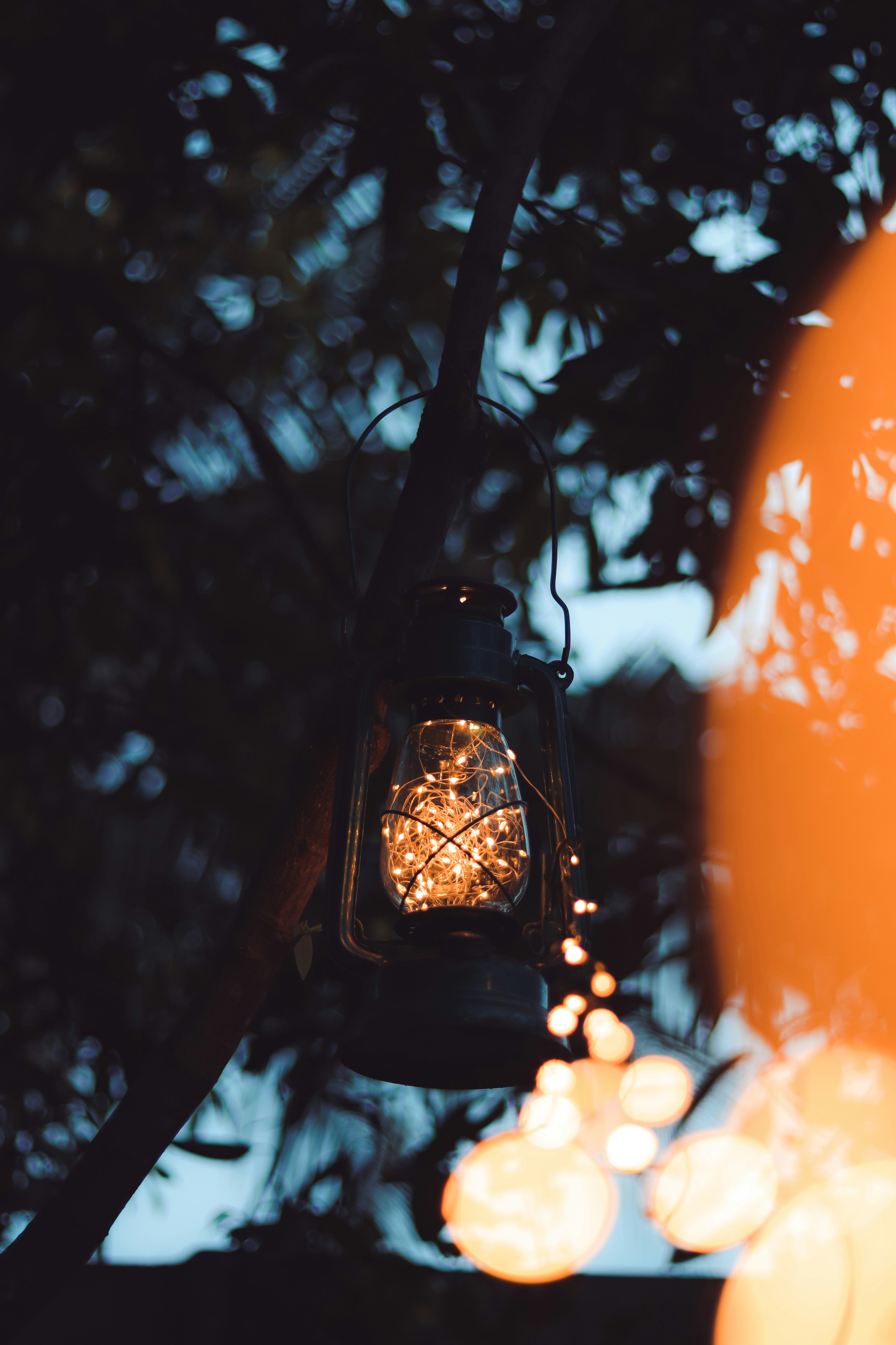 Photo by dhilipantony