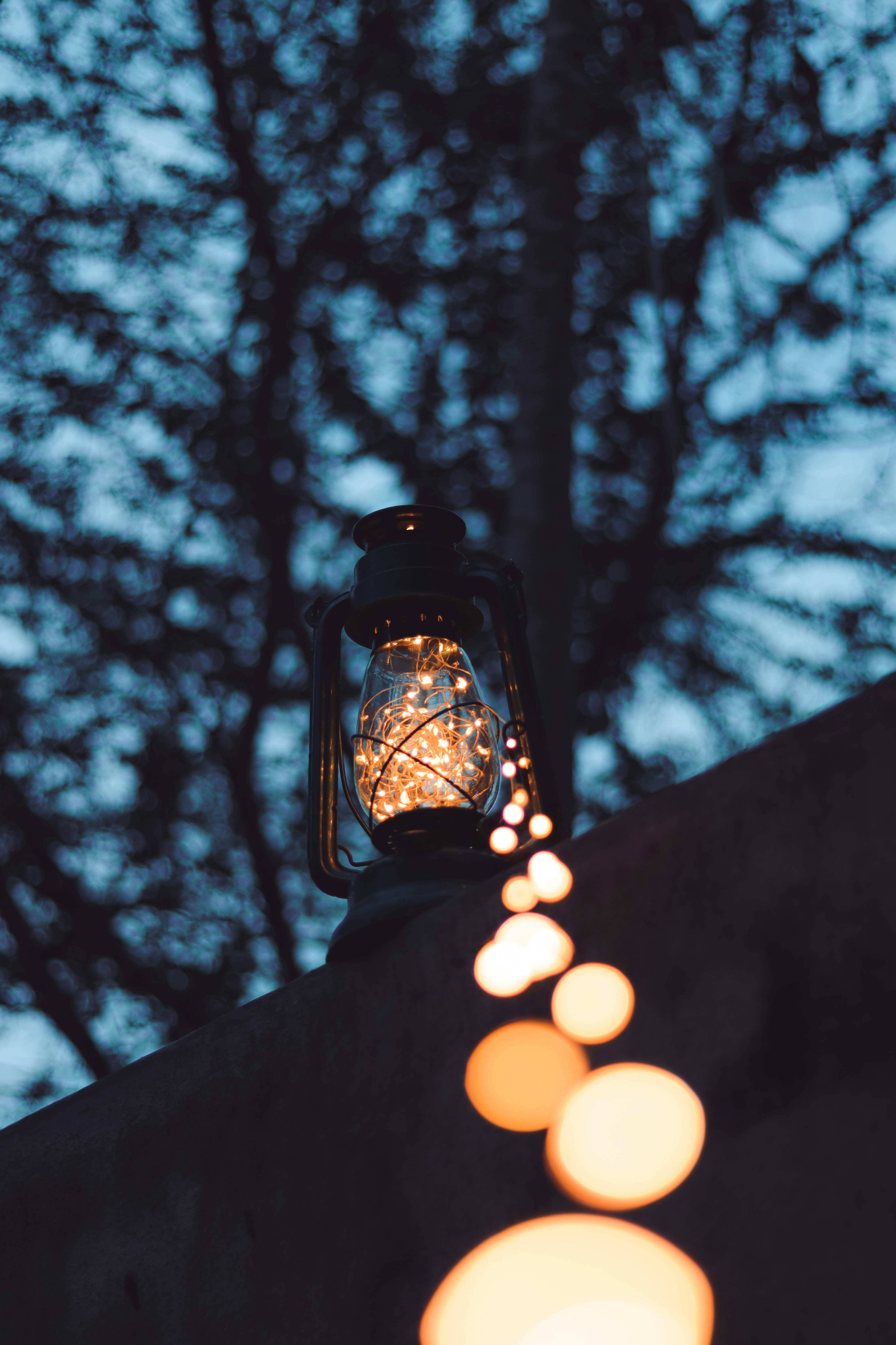 Photo by dhilipantony