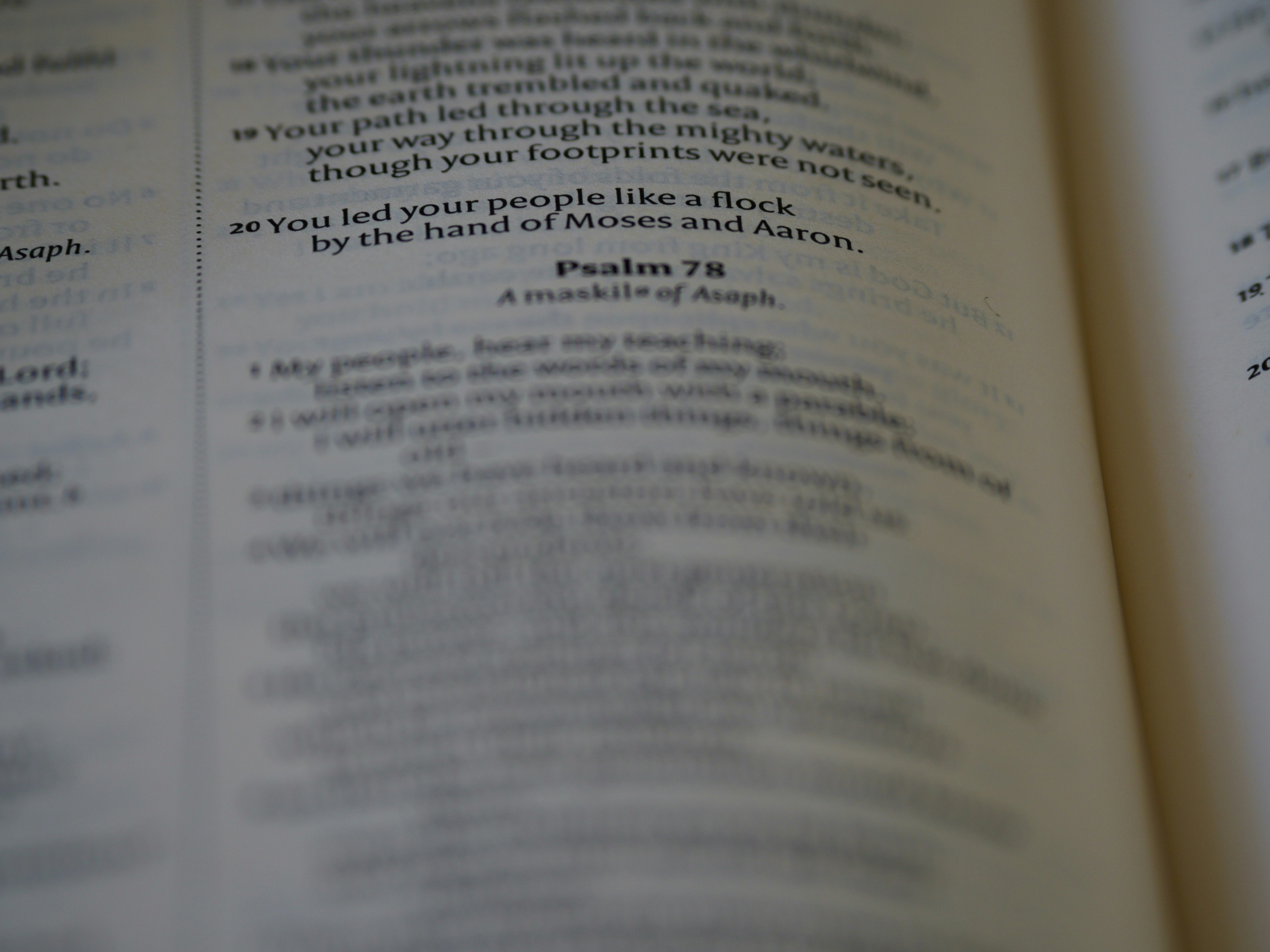 Psalm Stories for Kids