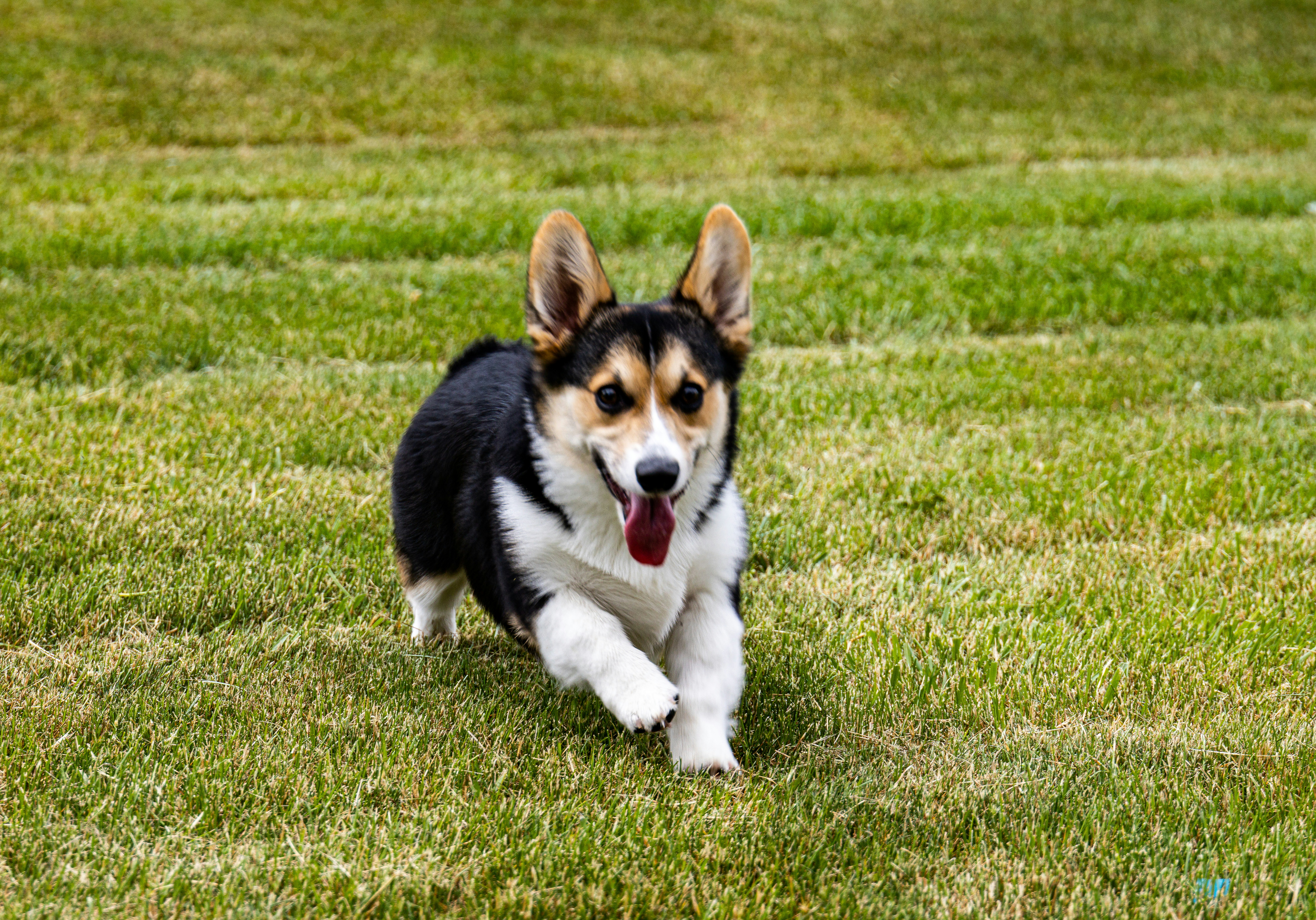 Photo by lancetraveler60