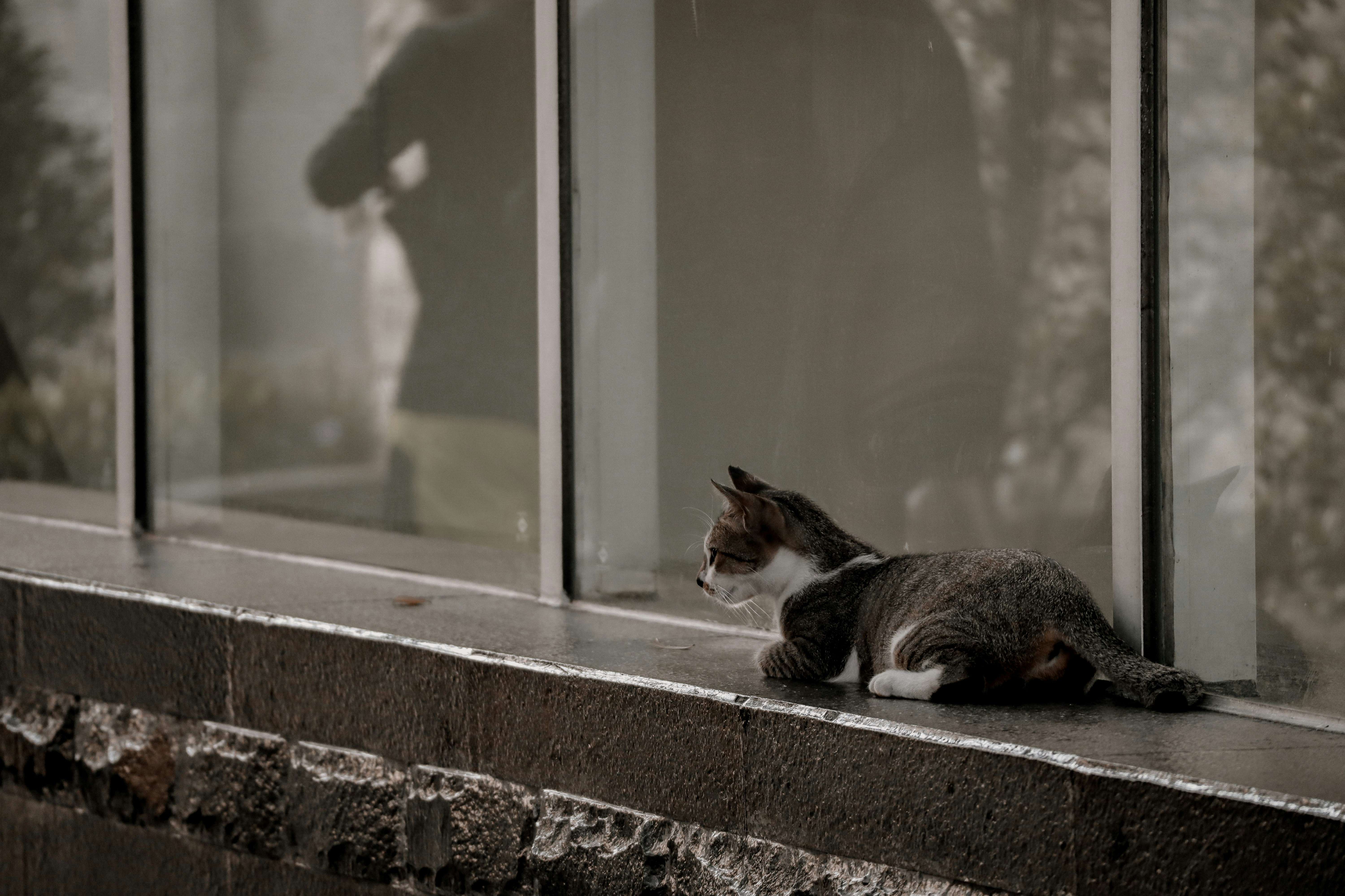 Photo by fadhilanurhakim